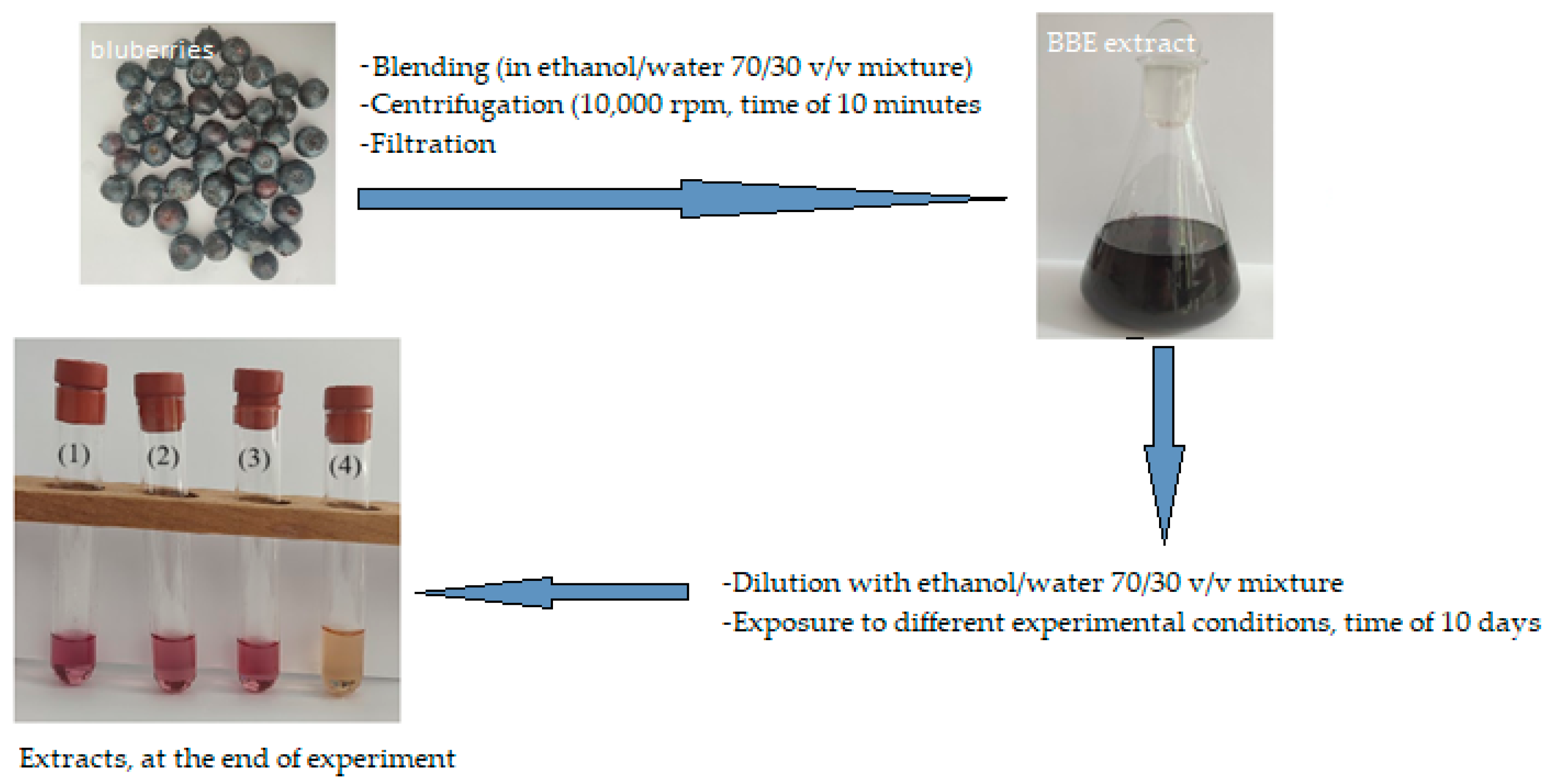 Antioxidants 14 00227 g004