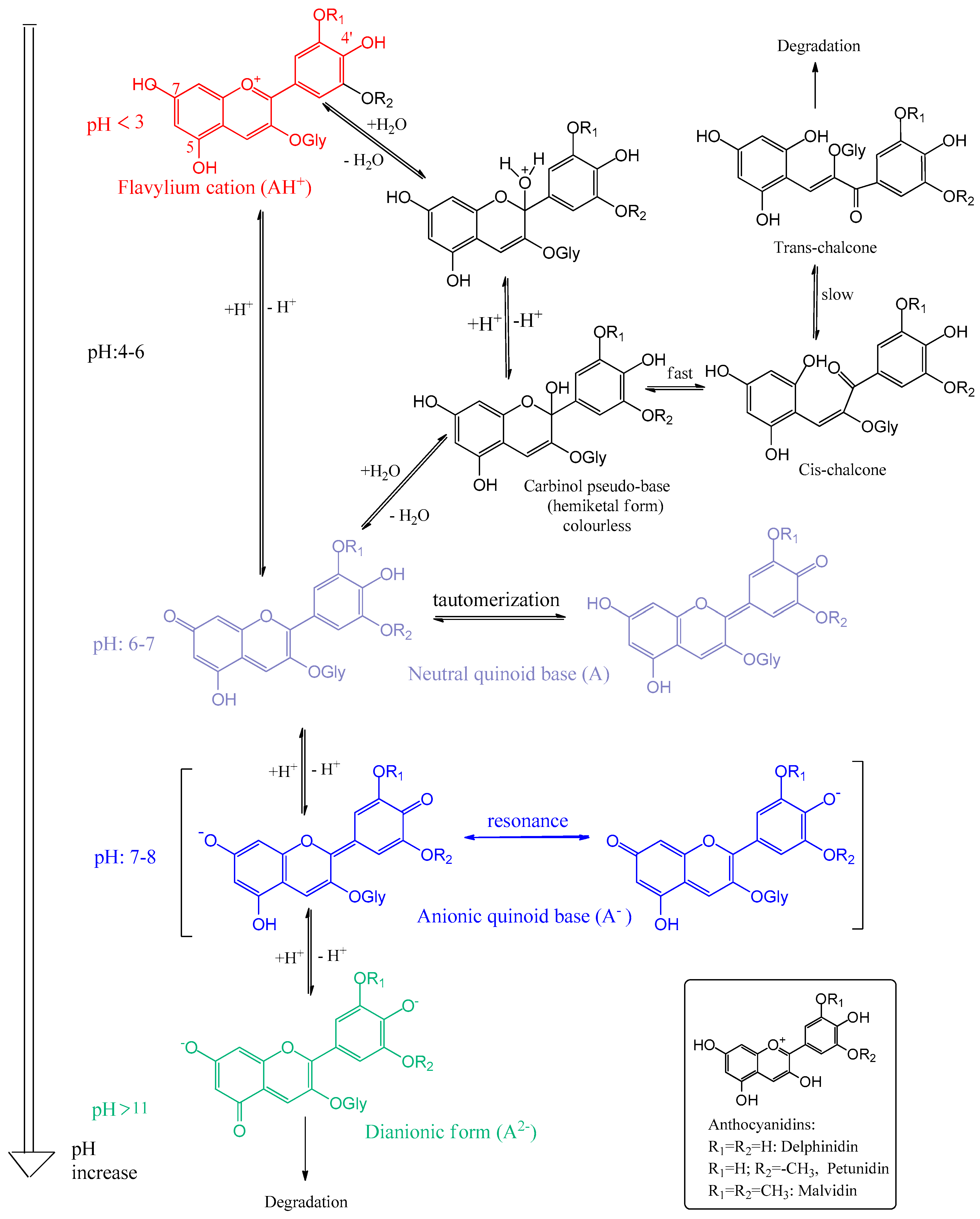 Antioxidants 14 00227 sch003