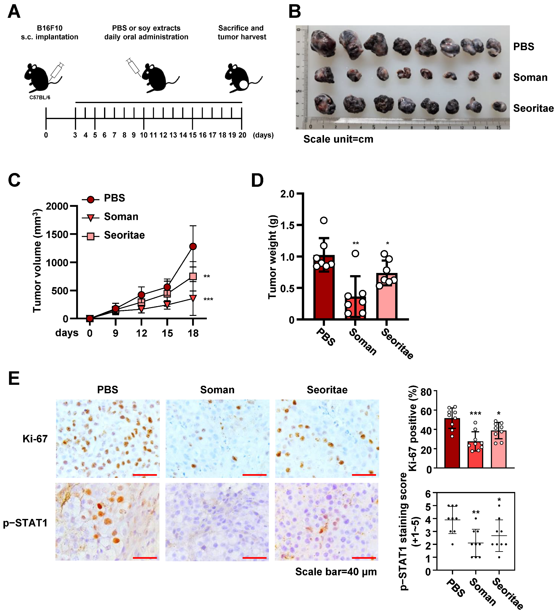 Antioxidants 14 00228 g004