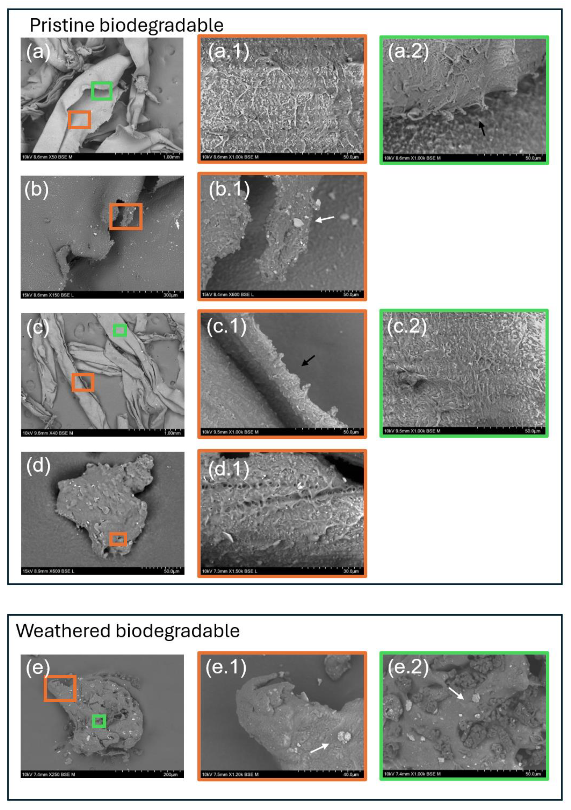 Antioxidants 14 00230 g002