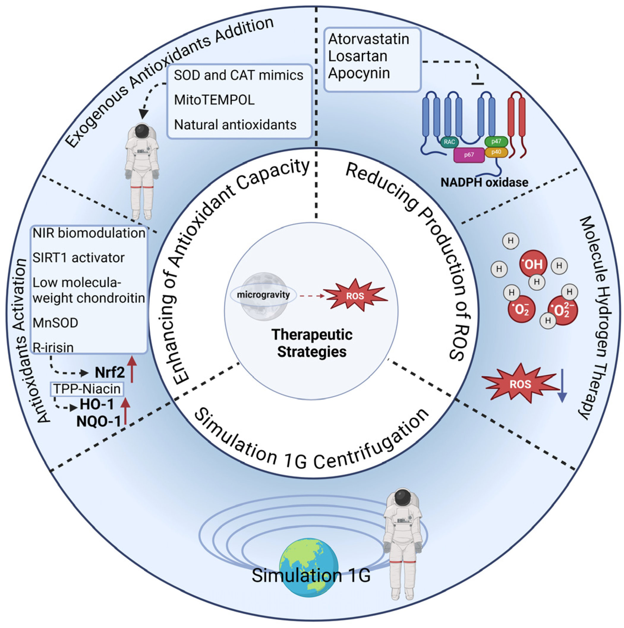 Antioxidants 14 00231 g002