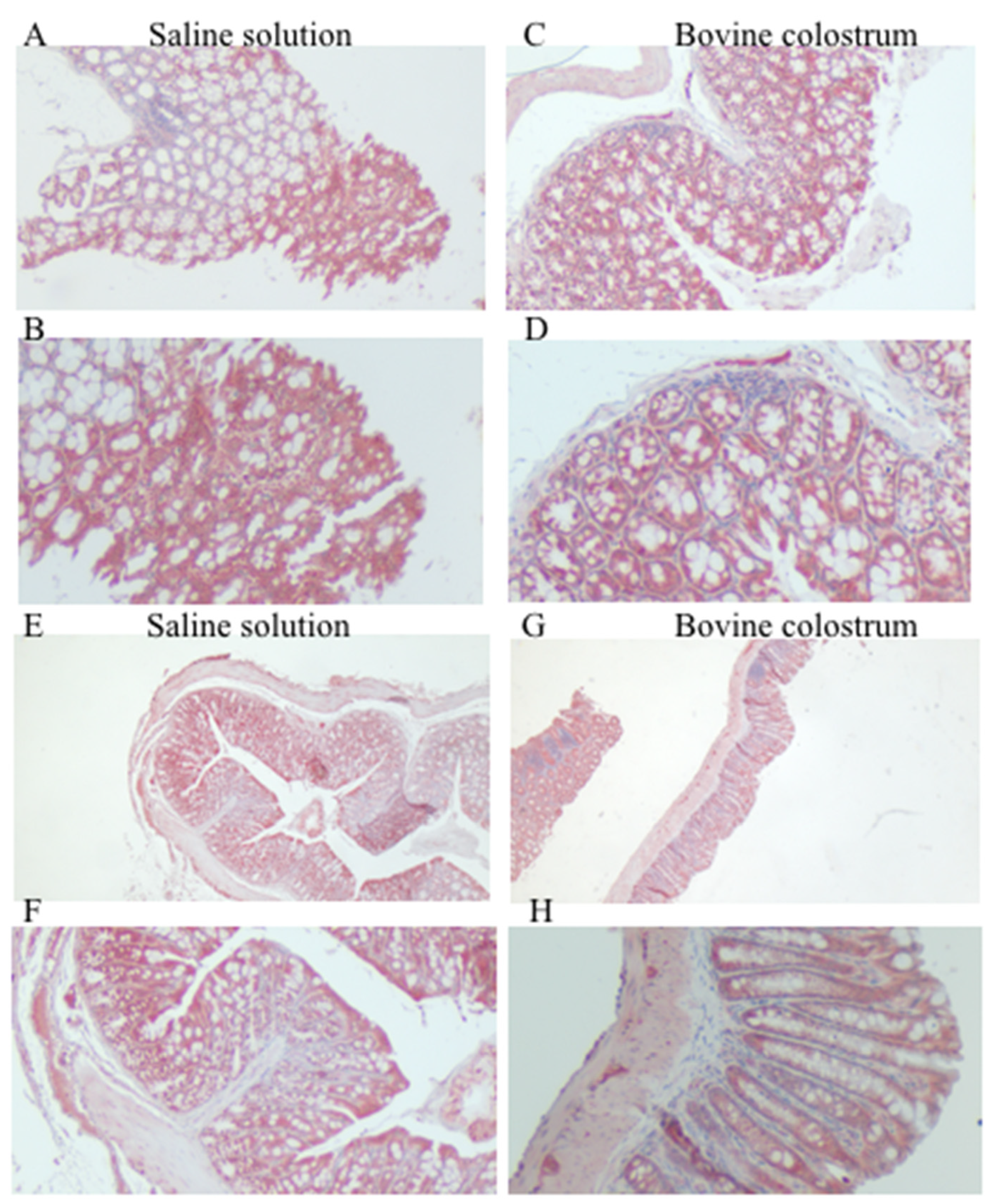 Antioxidants 14 00232 g003