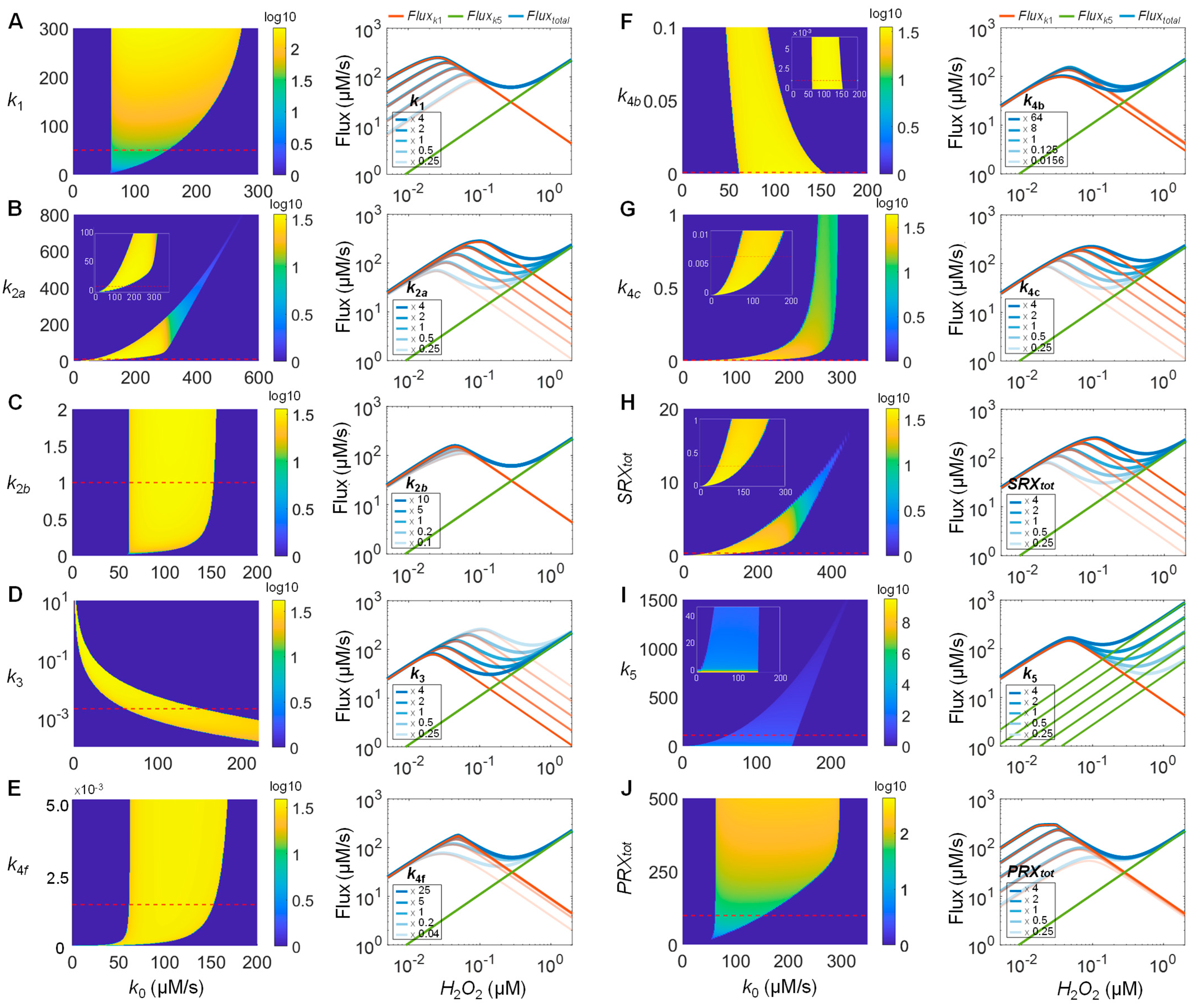Antioxidants 14 00235 g007