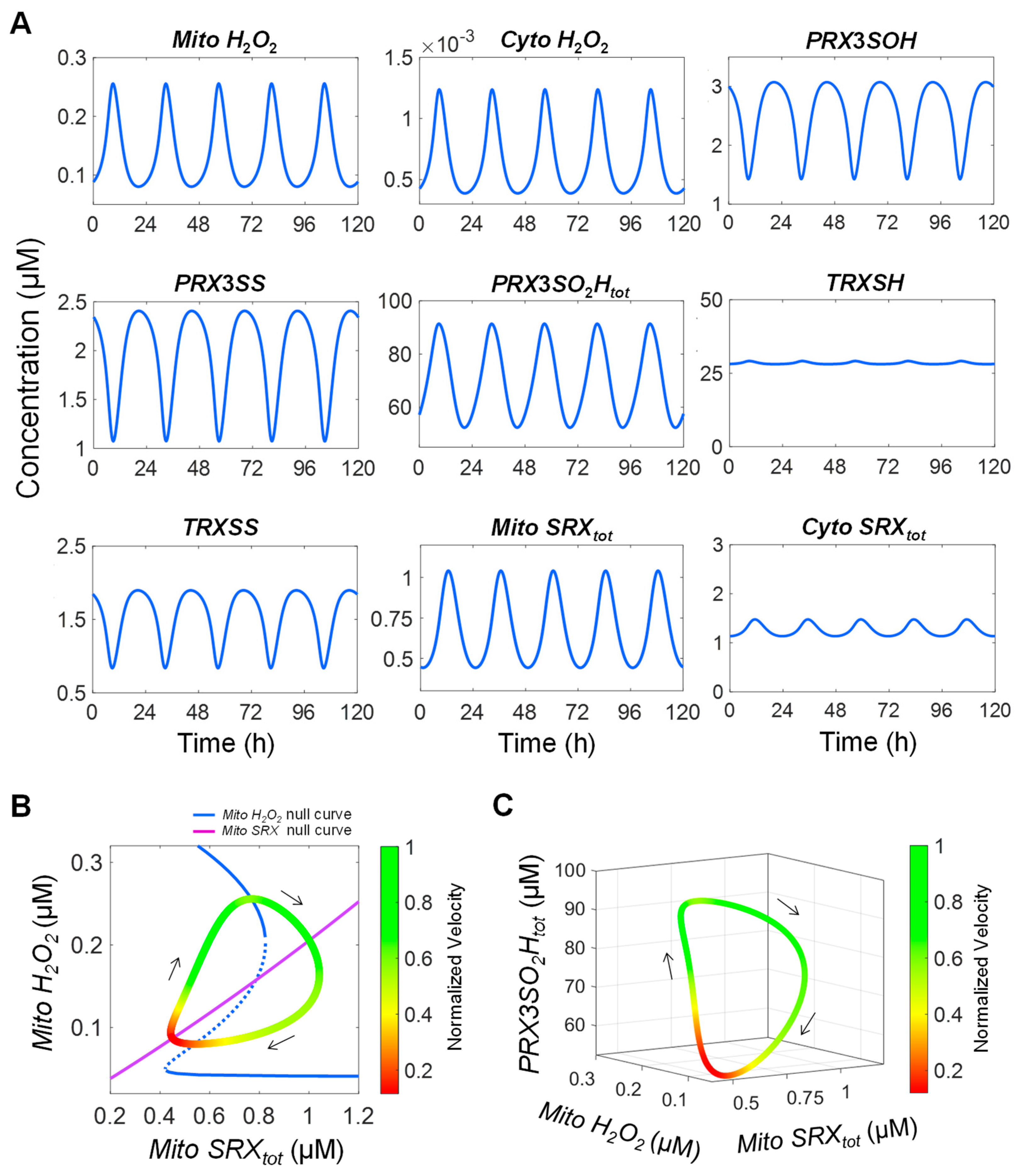 Antioxidants 14 00235 g010