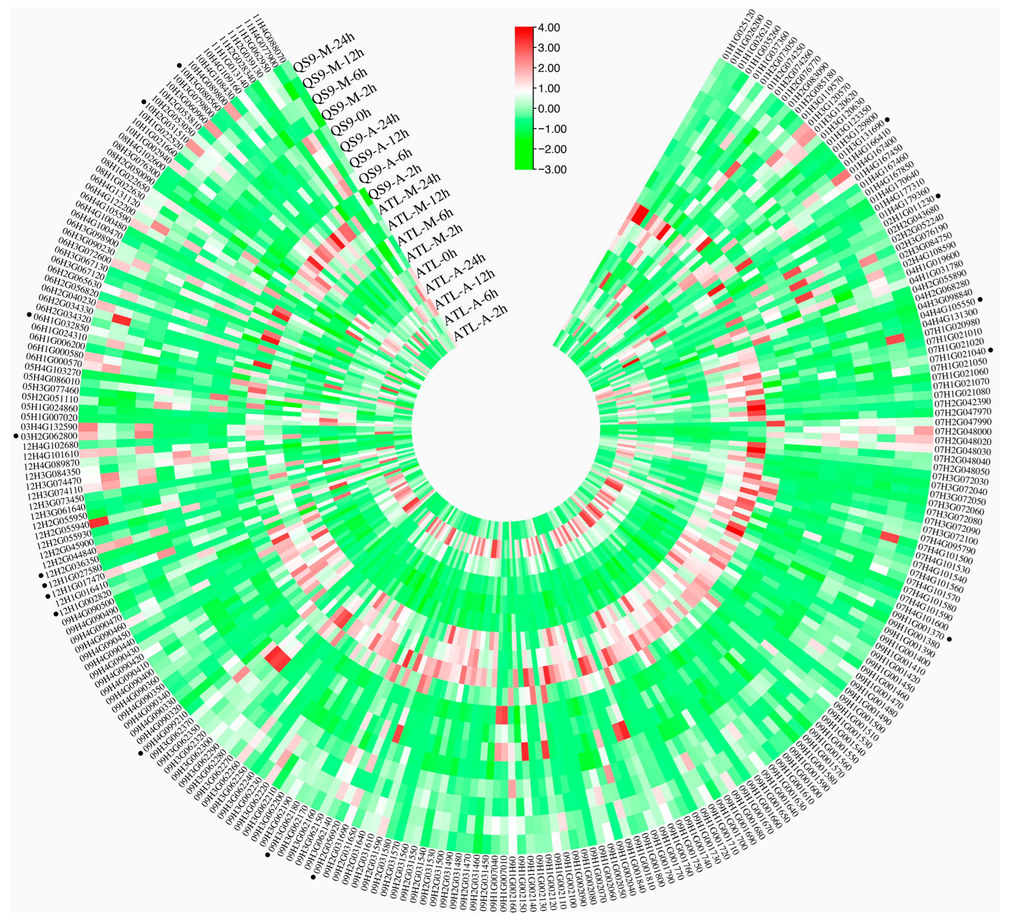 Antioxidants 14 00239 g004
