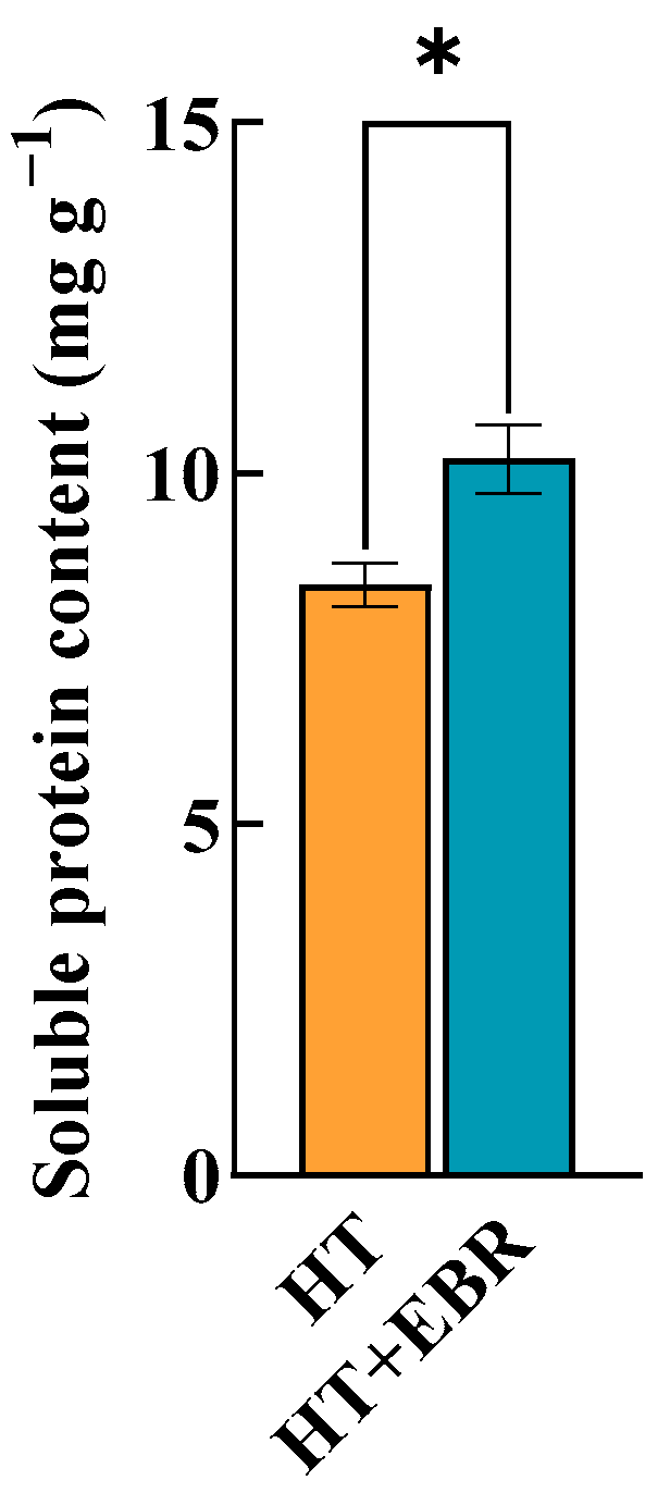 Antioxidants 14 00242 g002