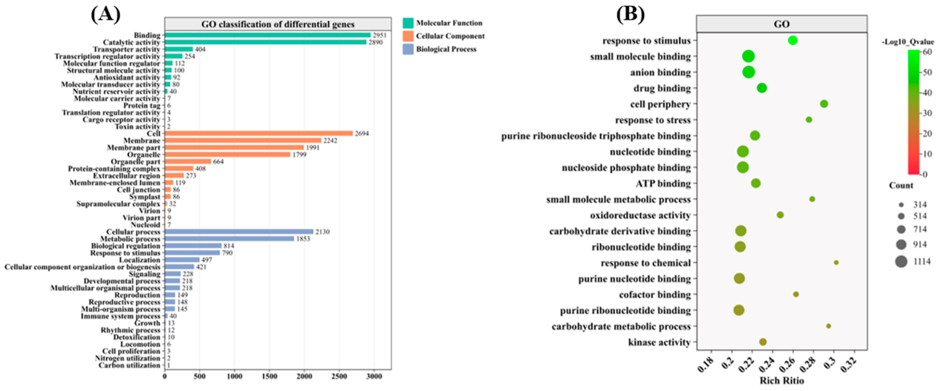 Antioxidants 14 00242 g005