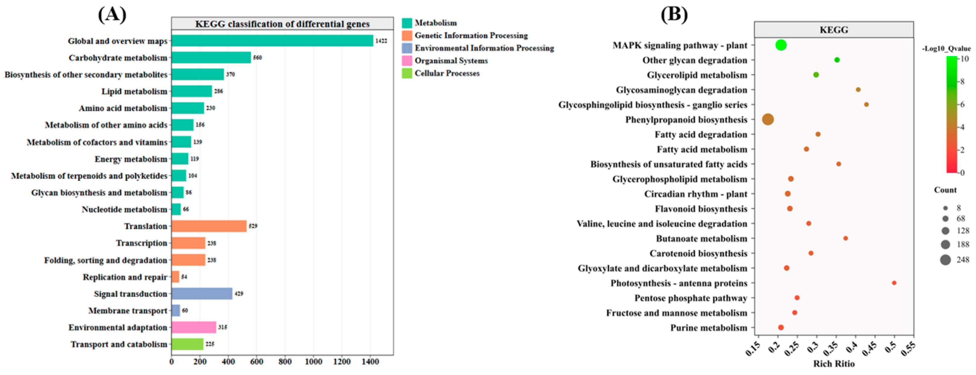 Antioxidants 14 00242 g006