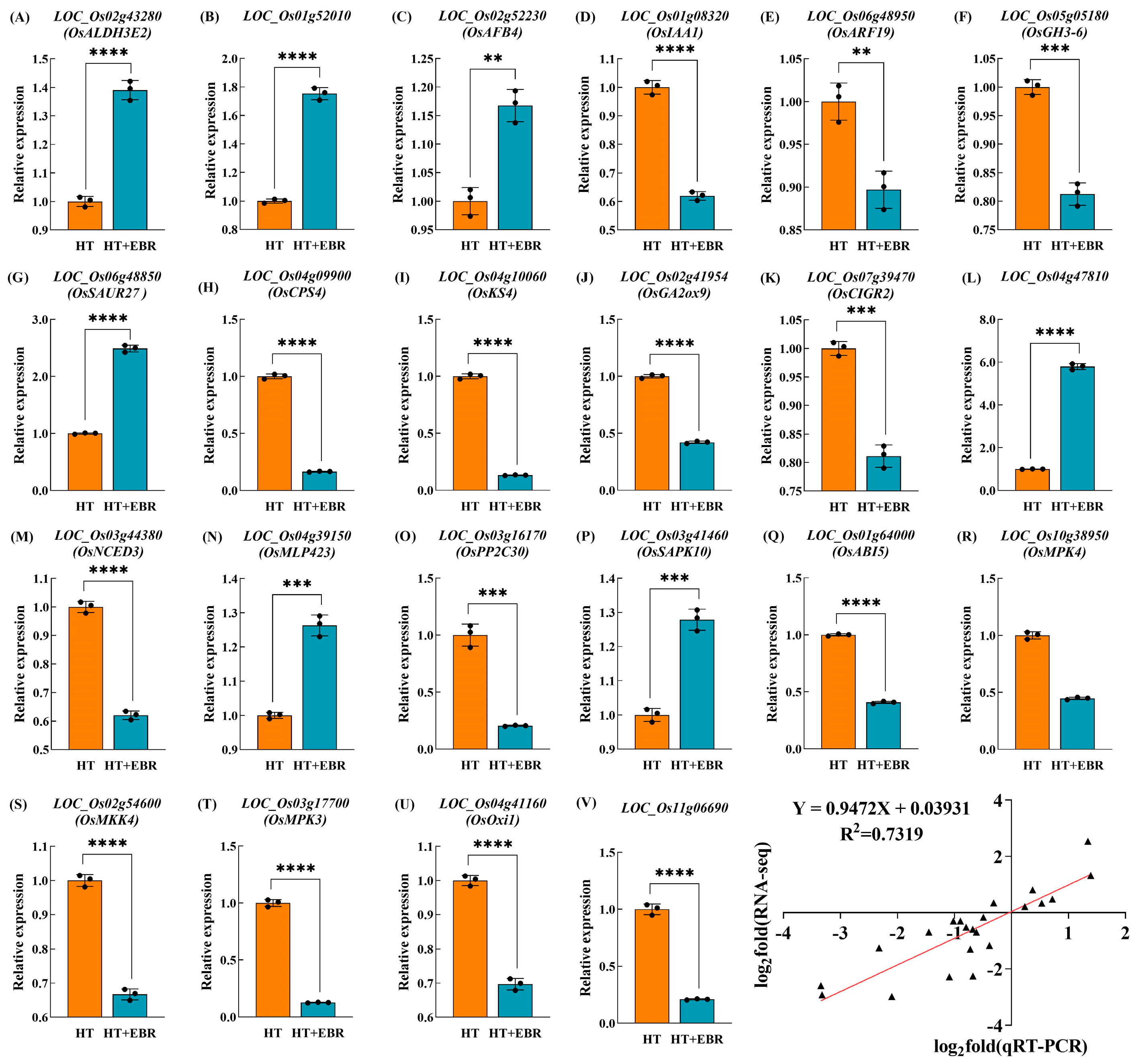 Antioxidants 14 00242 g008