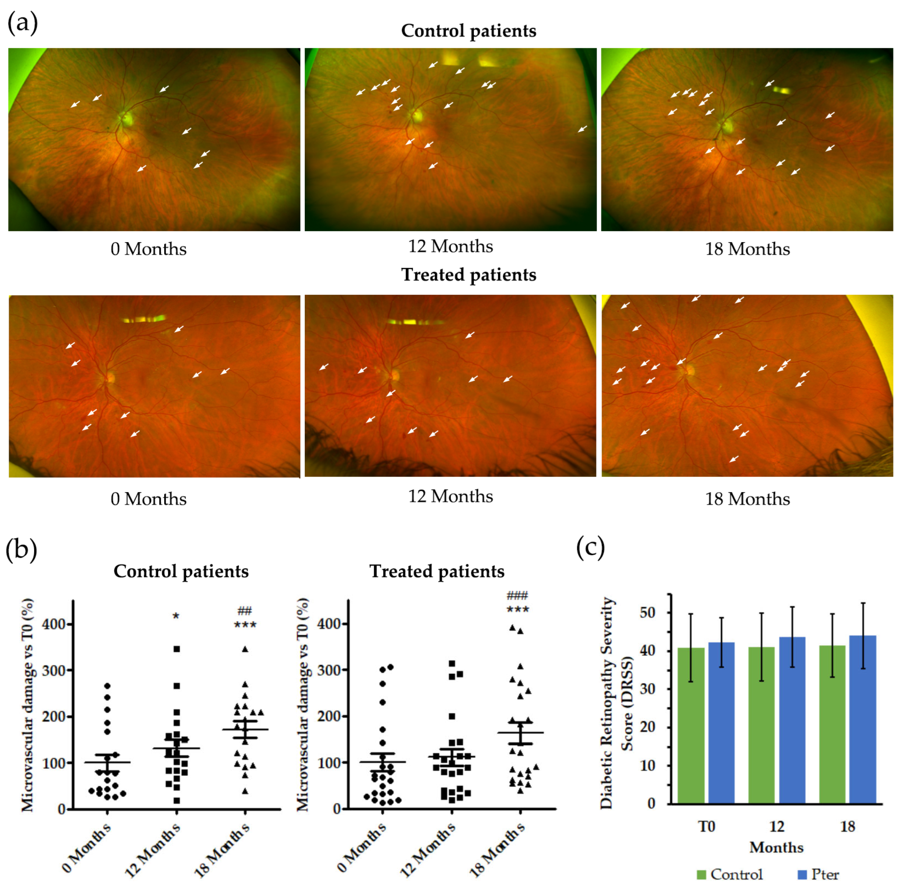 Antioxidants 14 00244 g001