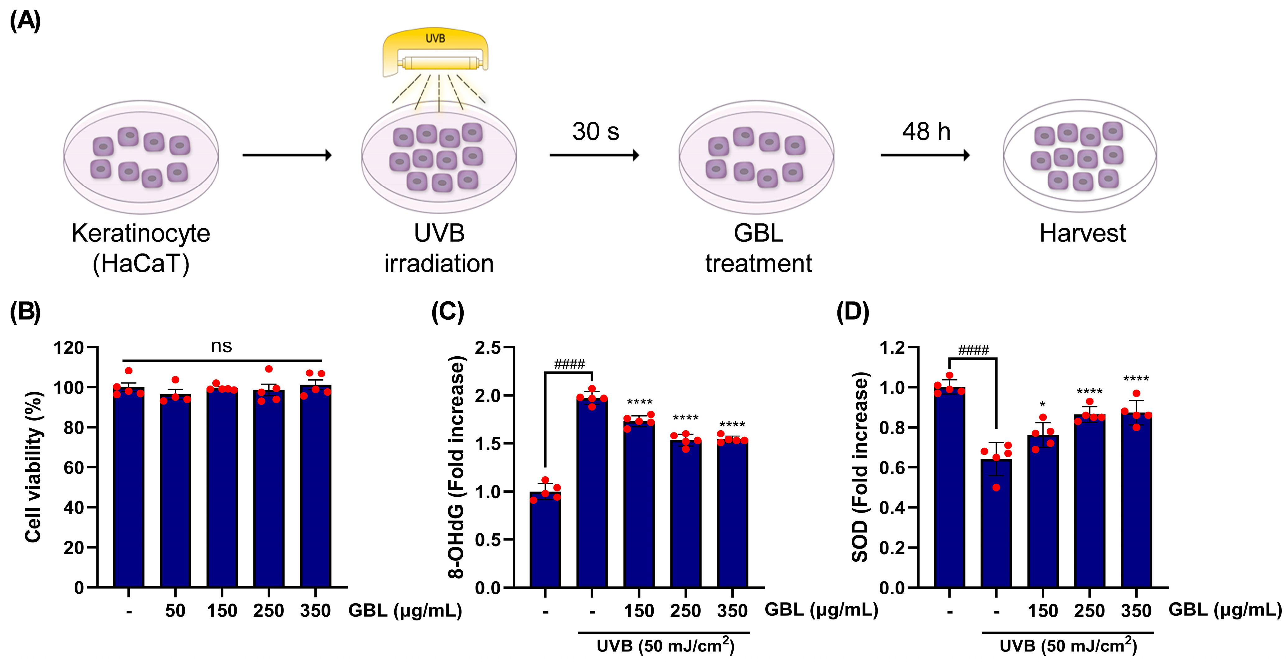 Antioxidants 14 00245 g004