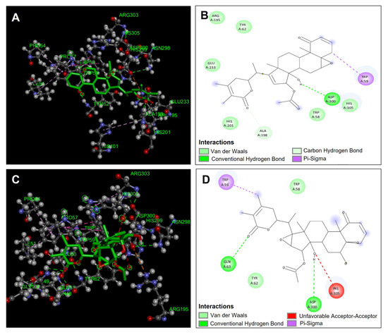 Untargeted Chemical Profile, Antioxidant, and Enzyme Inhibition