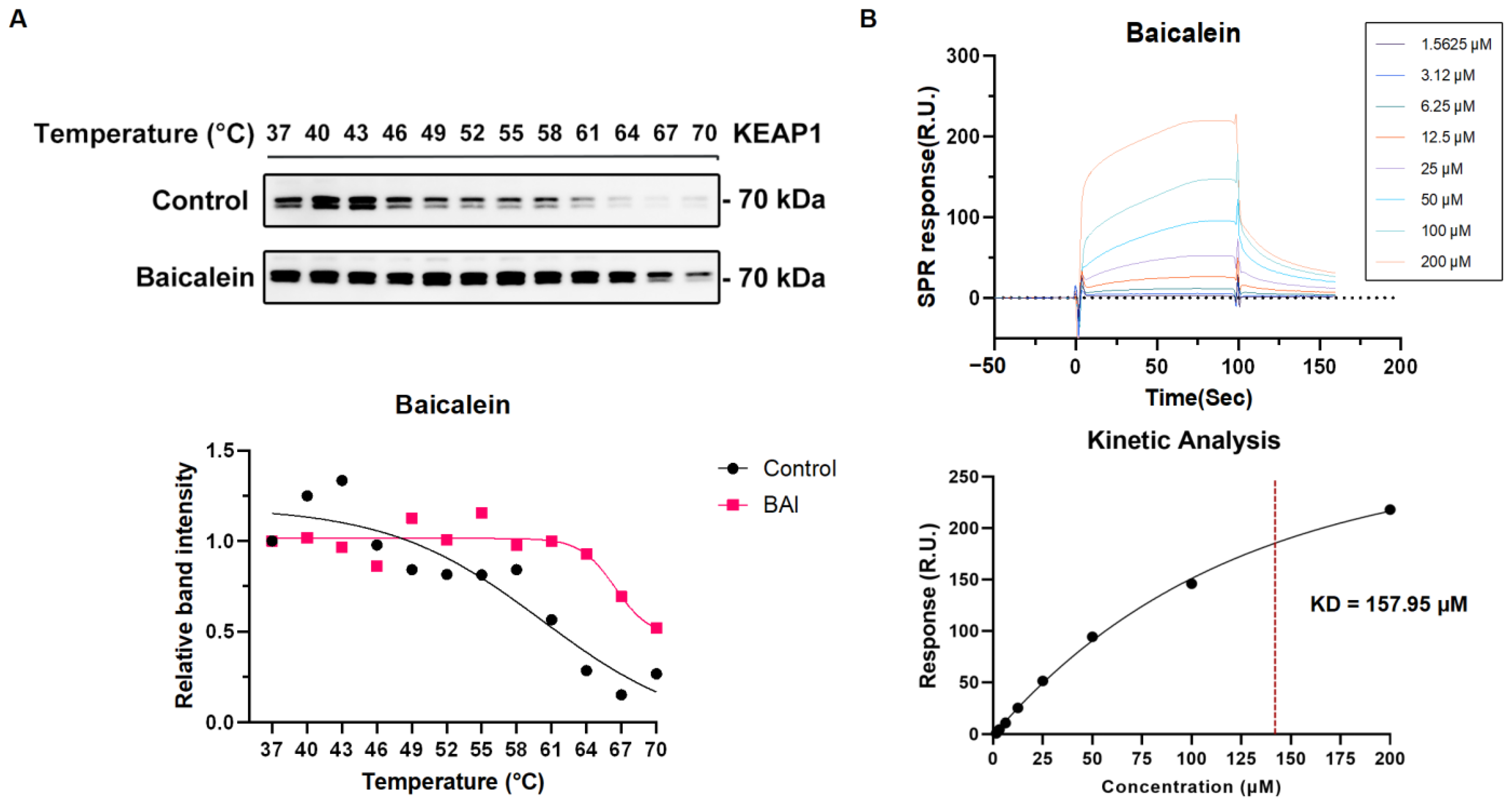 Antioxidants 14 00248 g008