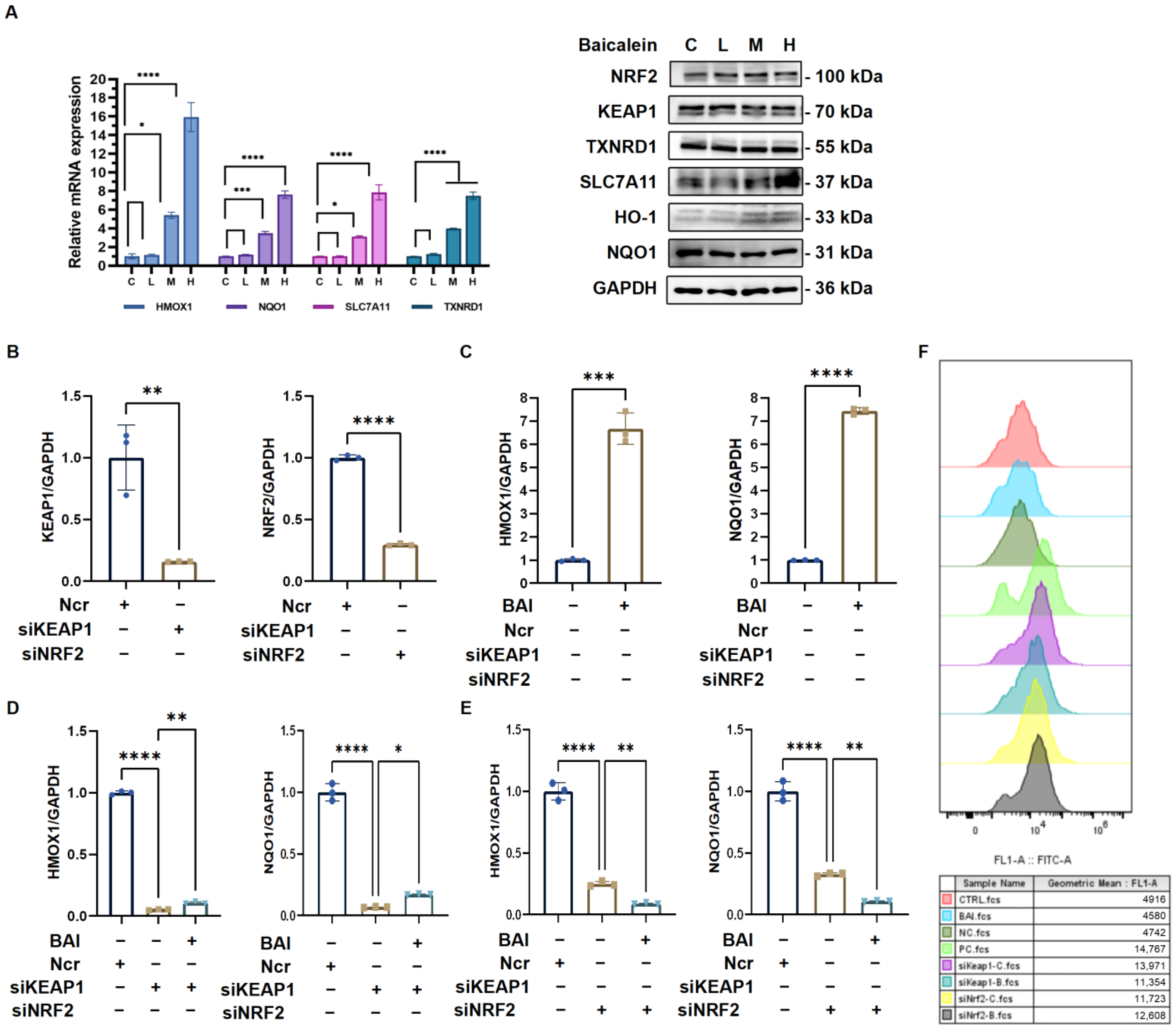 Antioxidants 14 00248 g009