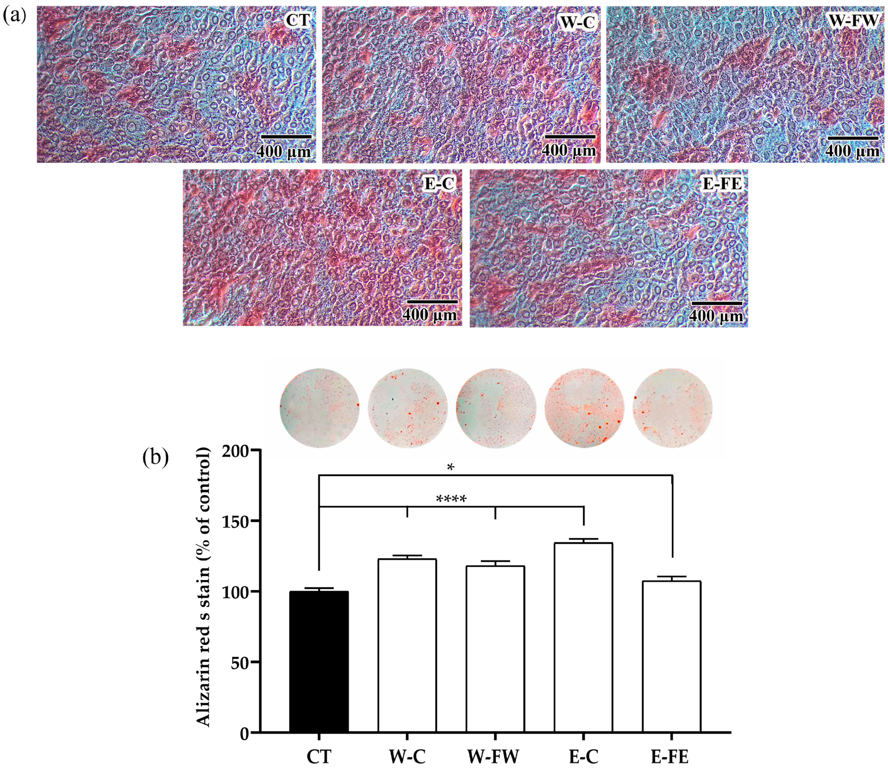 Antioxidants 14 00252 g003