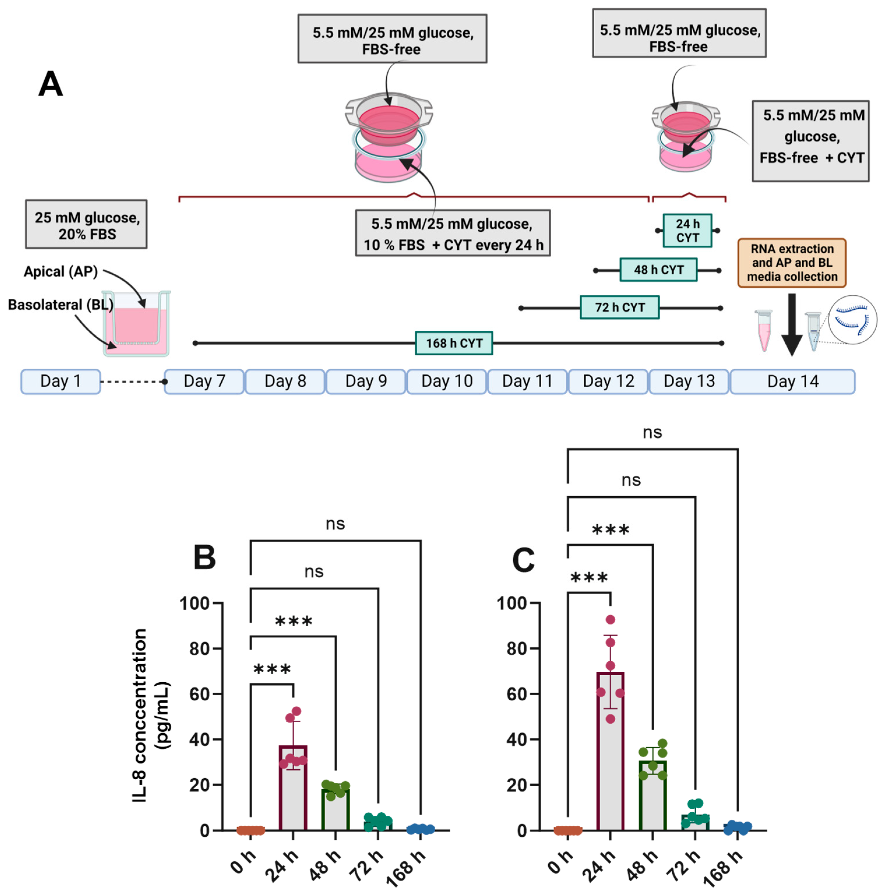 Antioxidants 14 00253 g002 Antioxidants 14 00253 g002