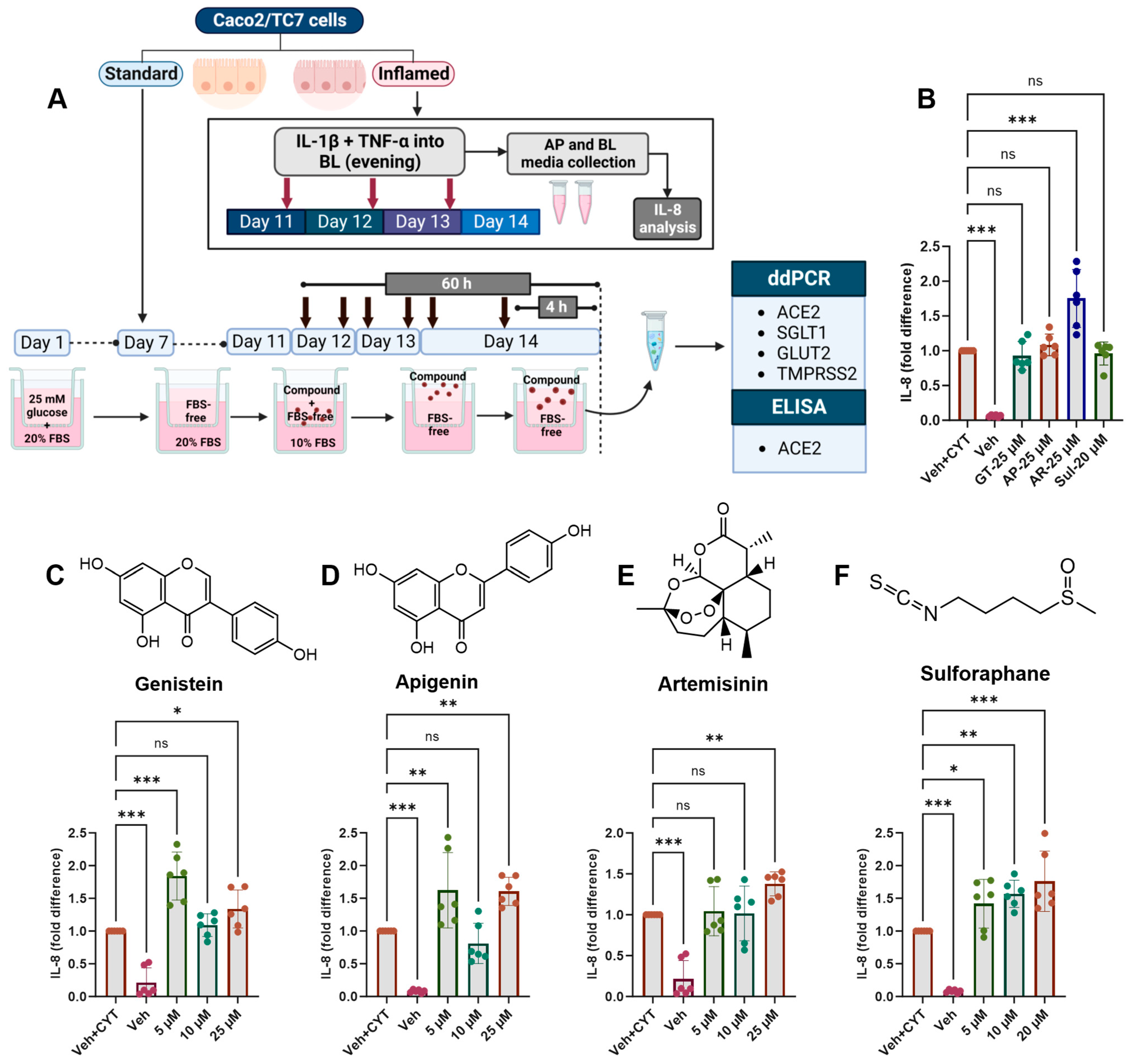 Antioxidants 14 00253 g004 Antioxidants 14 00253 g004