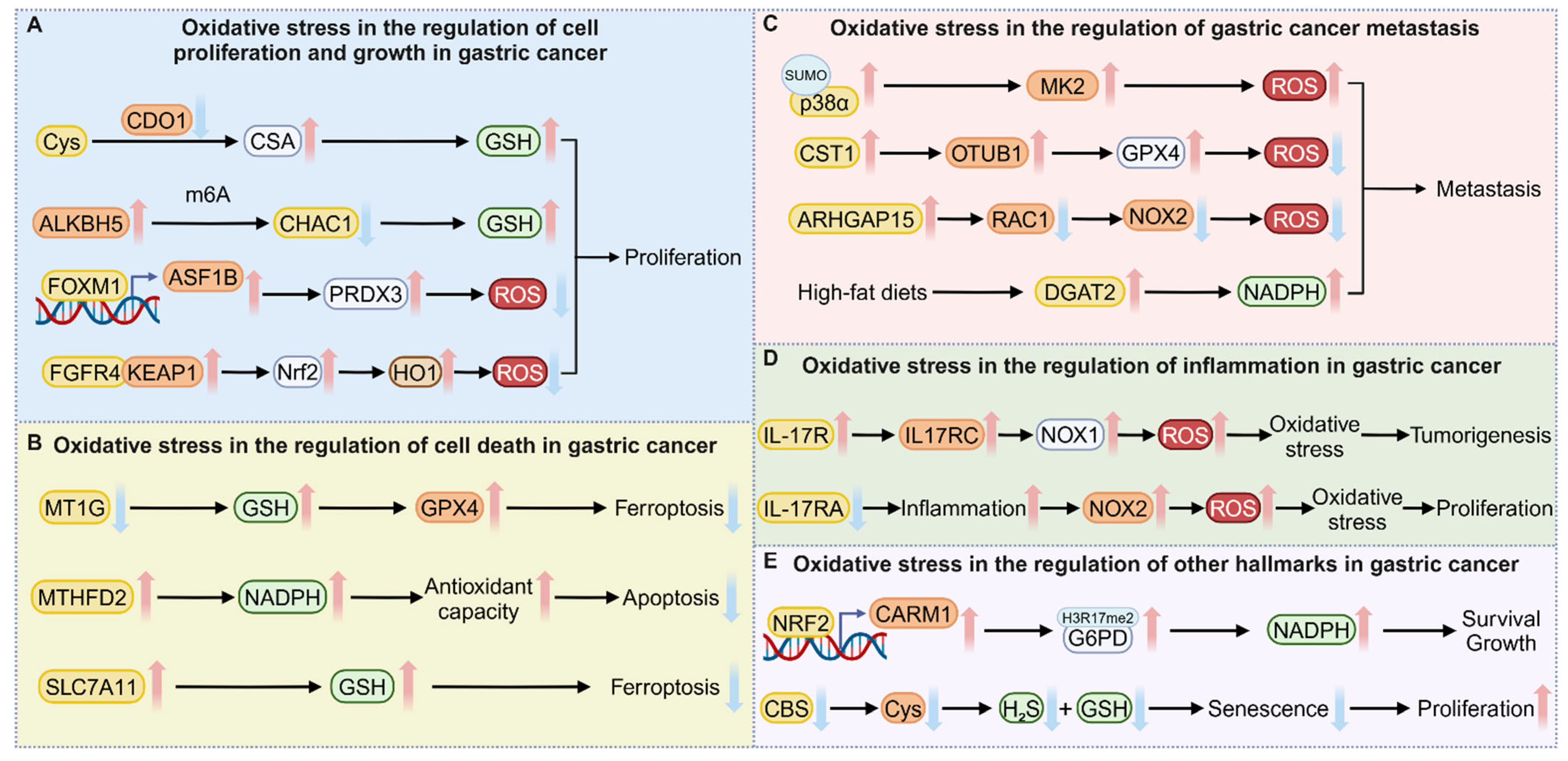 Antioxidants 14 00258 g002