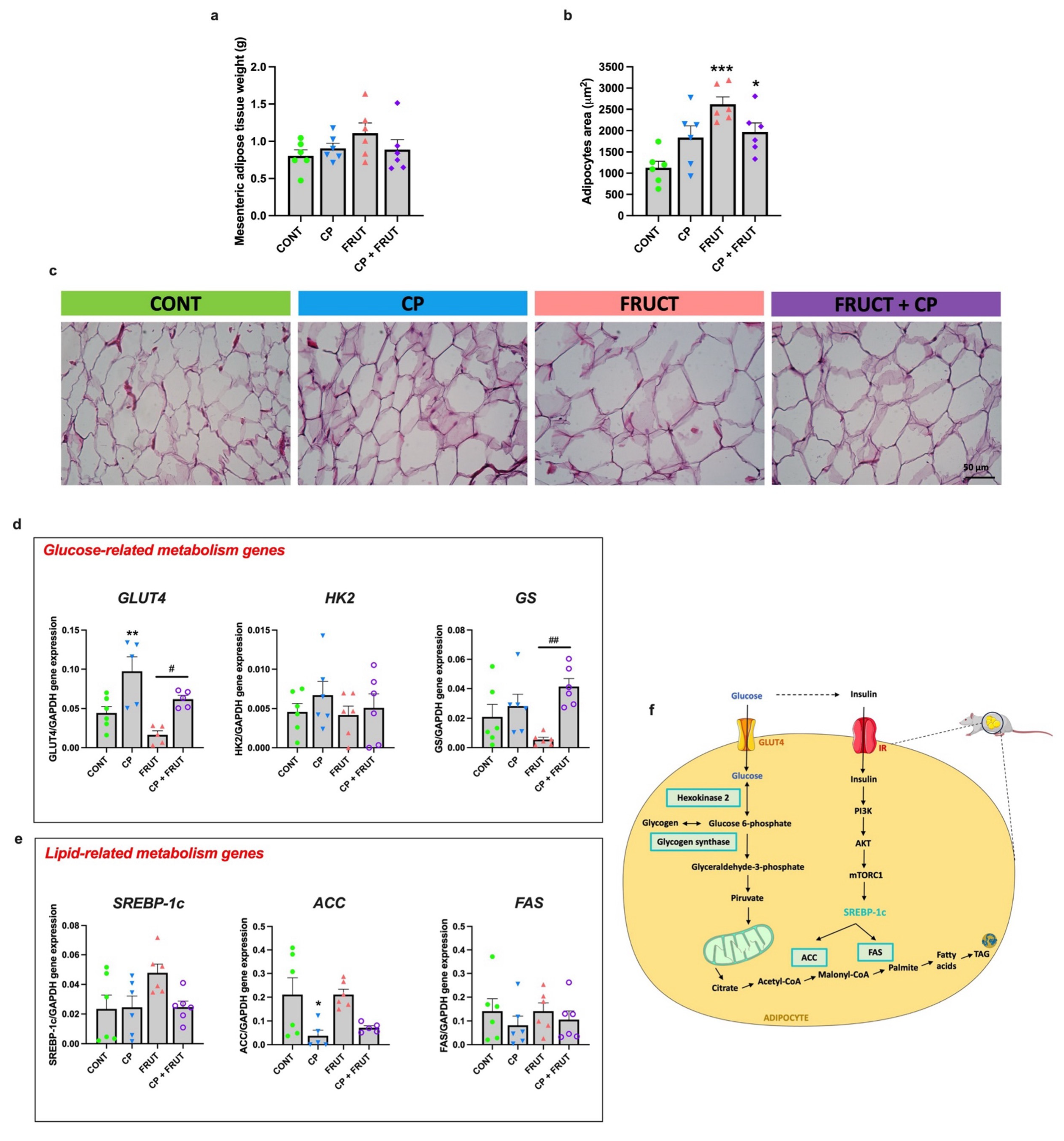 Antioxidants 14 00266 g006