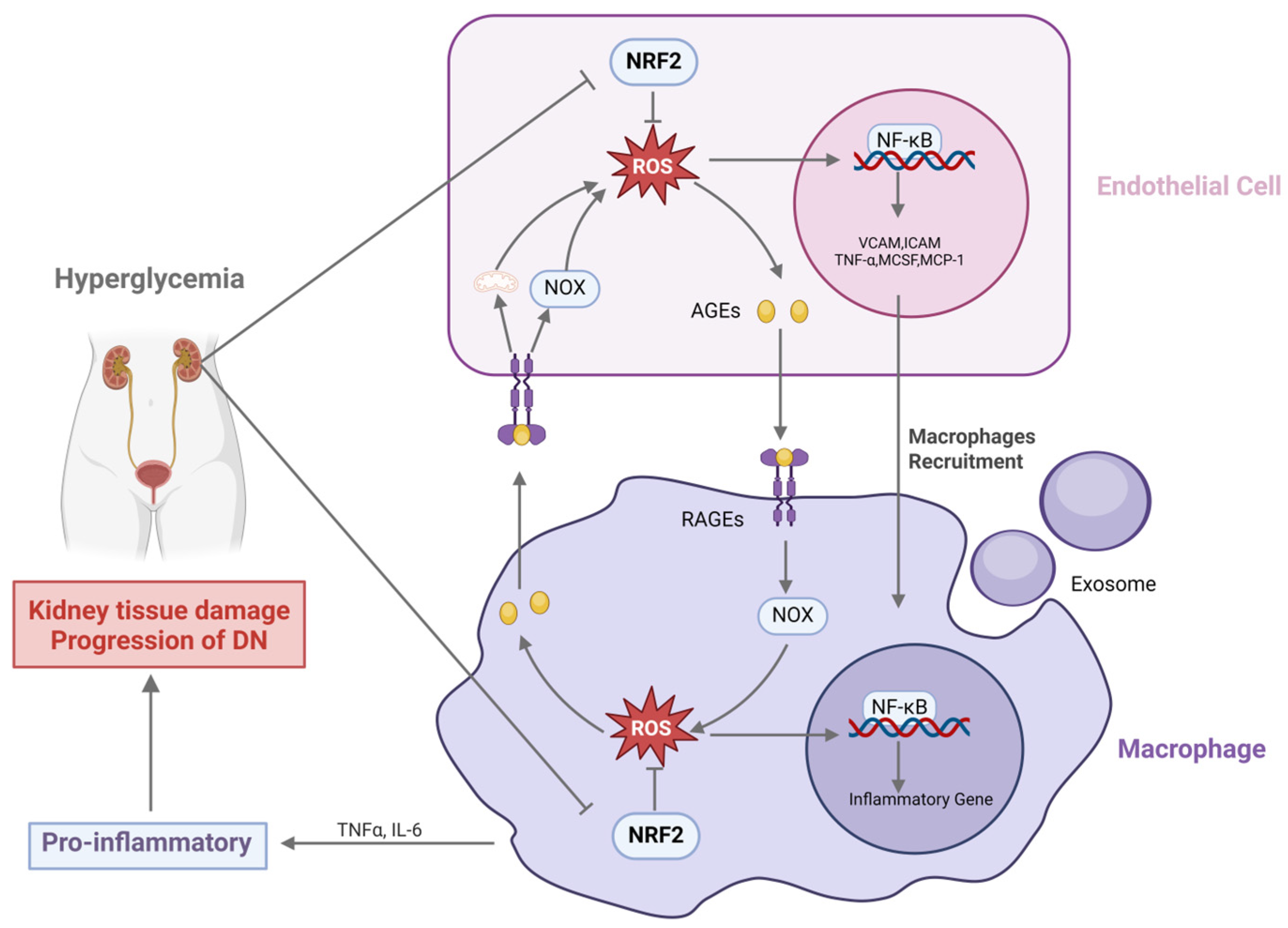 Antioxidants 14 00267 g001