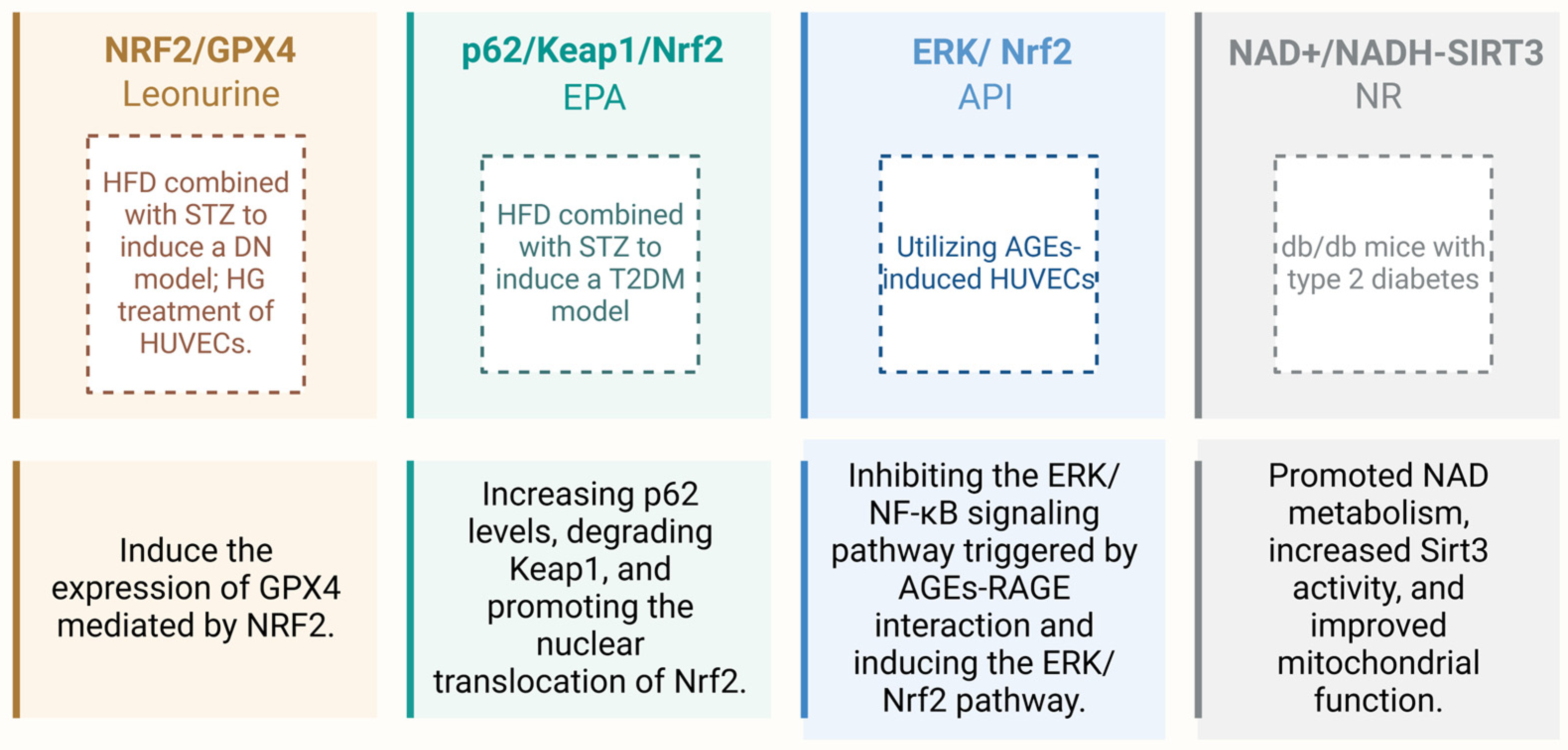 Antioxidants 14 00267 g002