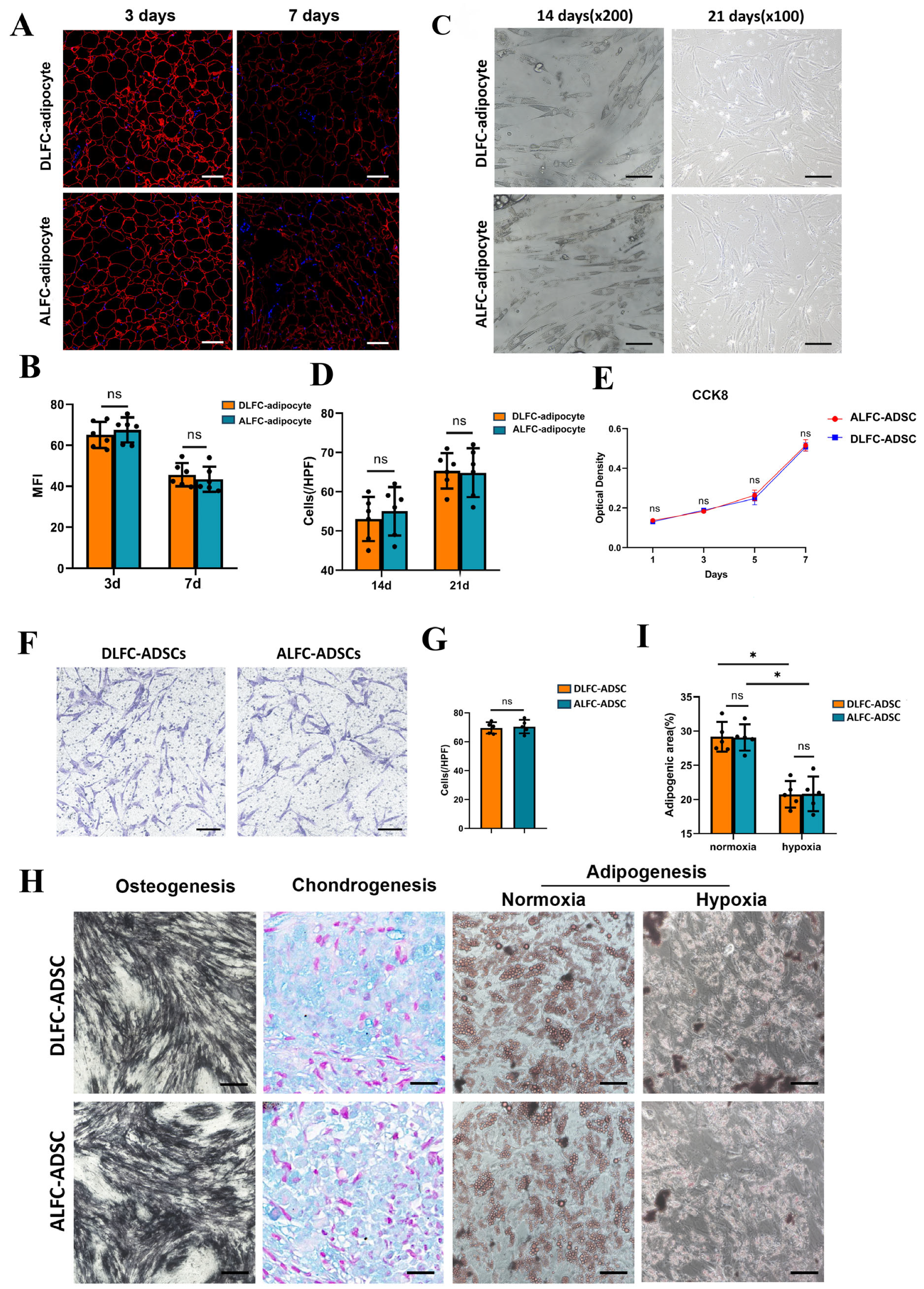 Antioxidants 14 00270 g002