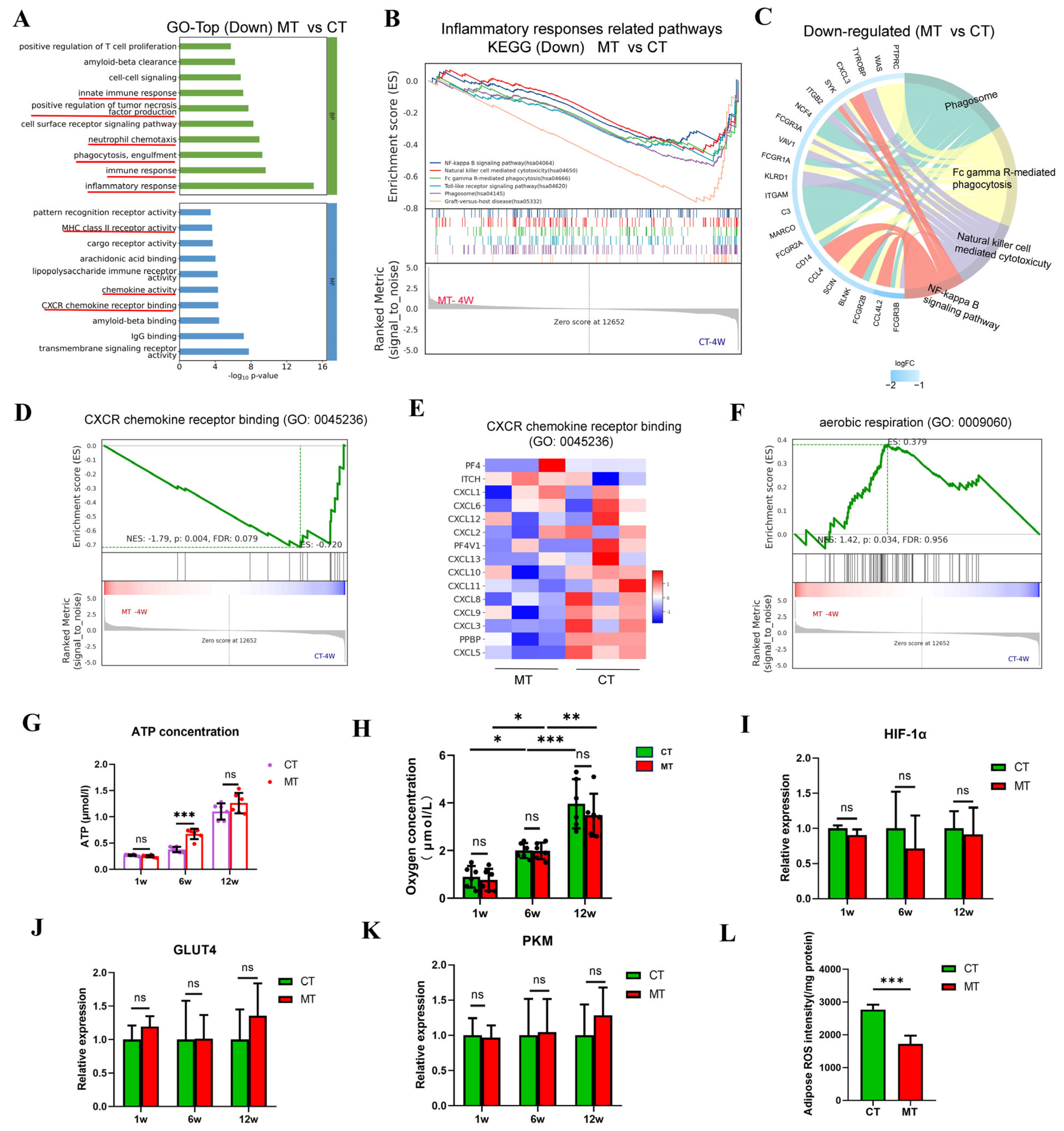 Antioxidants 14 00270 g007