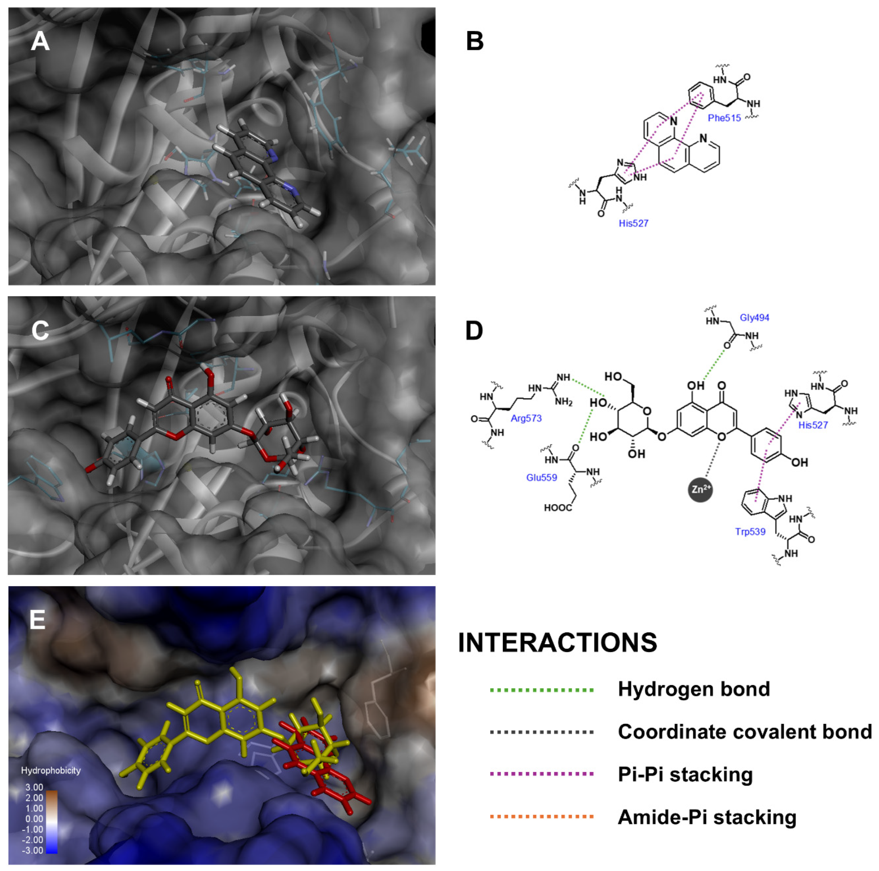 Antioxidants 14 00272 g003