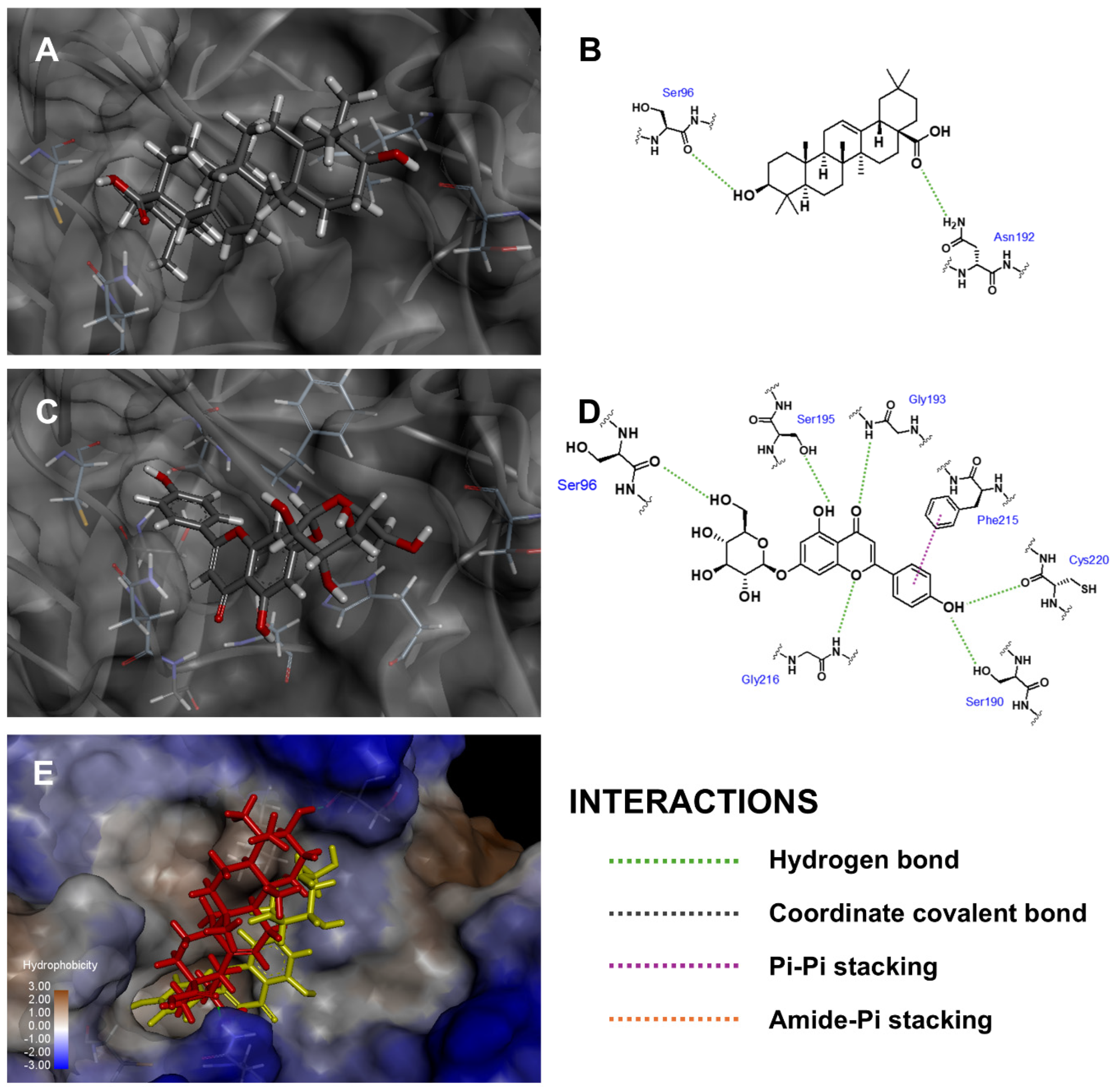 Antioxidants 14 00272 g004