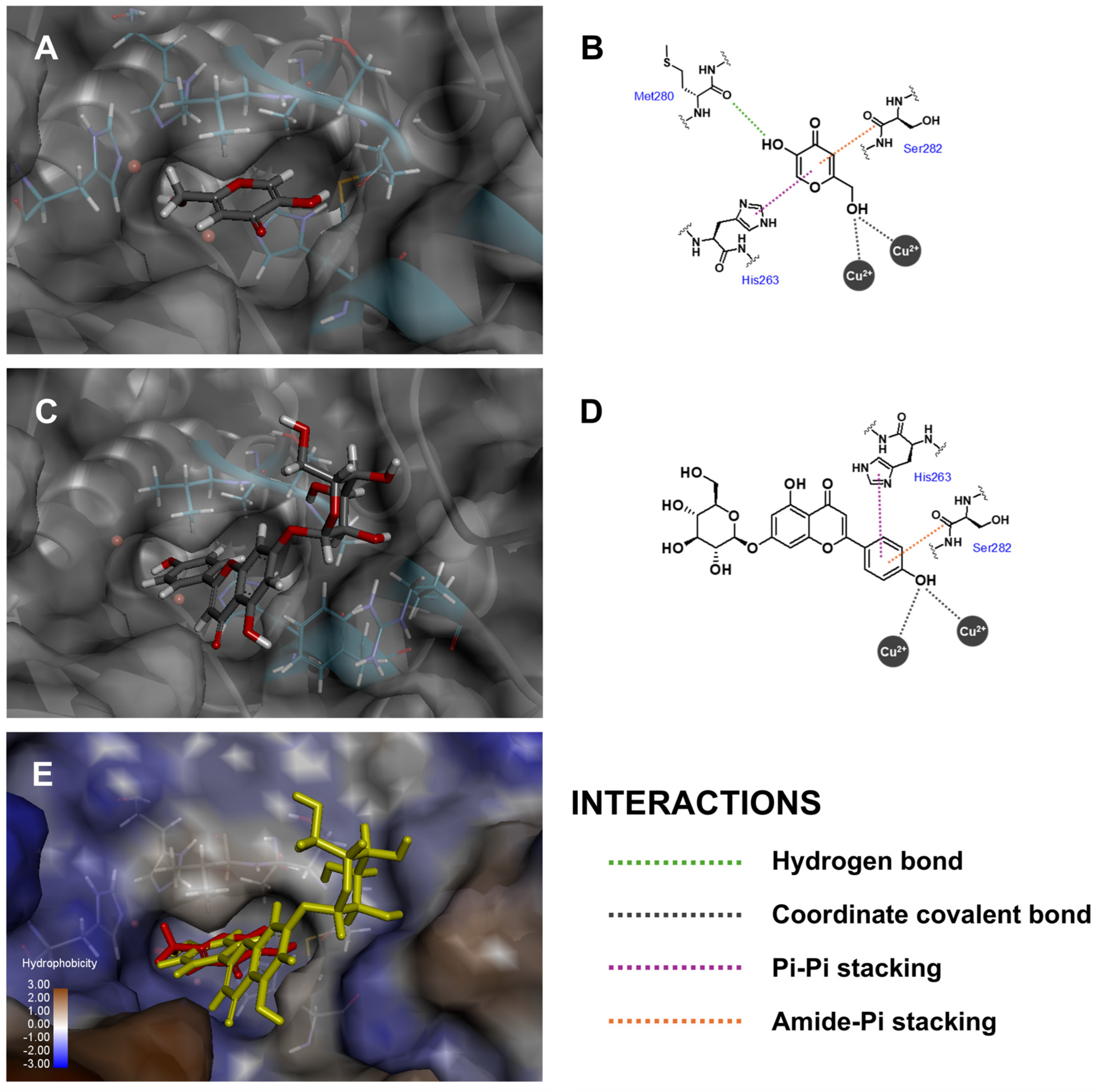 Antioxidants 14 00272 g005