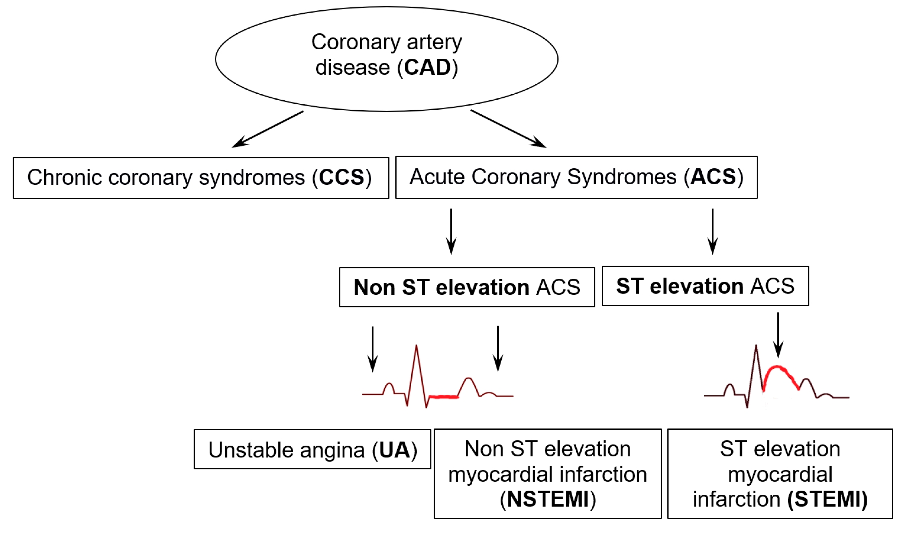 Antioxidants 14 00275 g003 Antioxidants 14 00275 g003