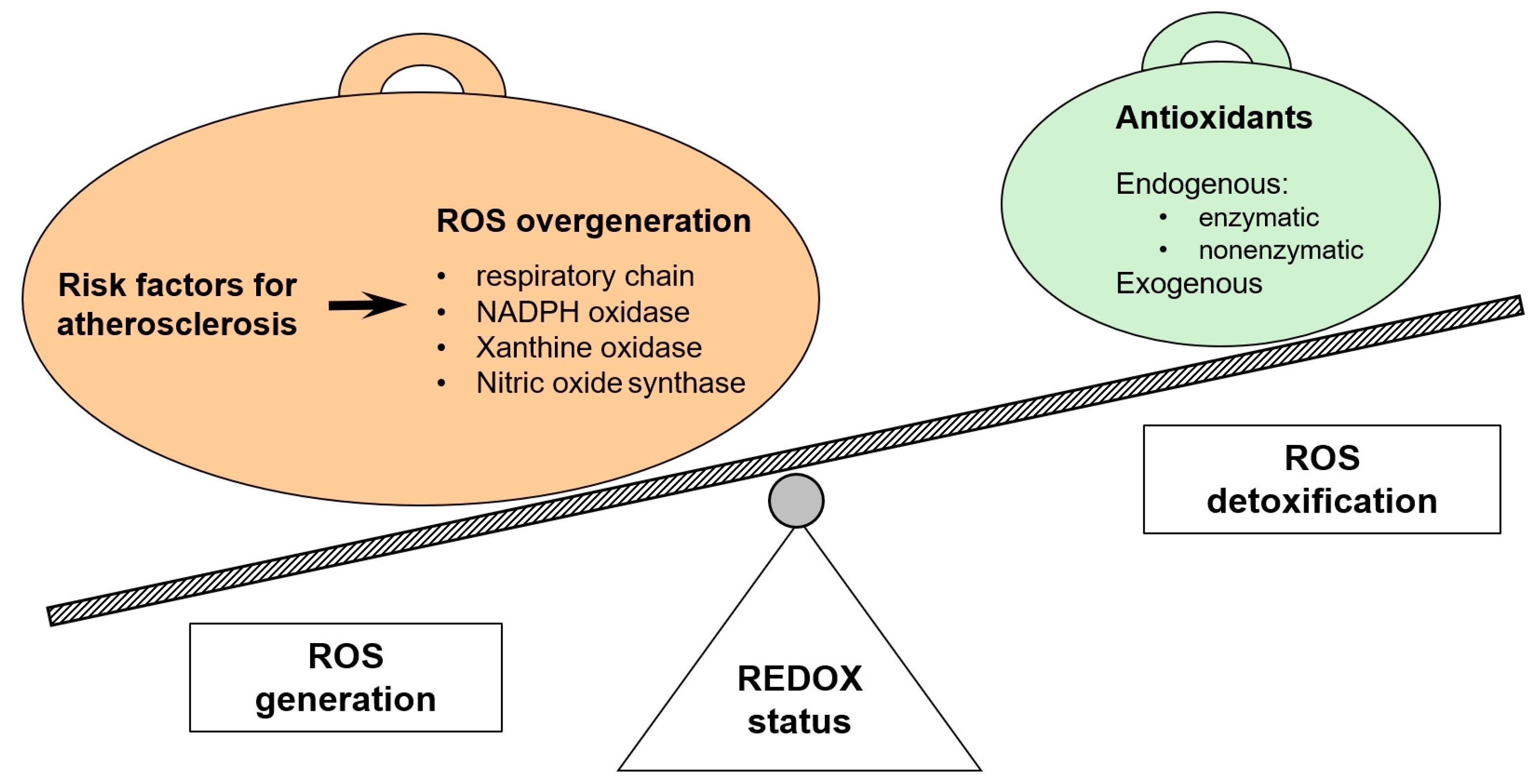 Antioxidants 14 00275 g004 Antioxidants 14 00275 g004