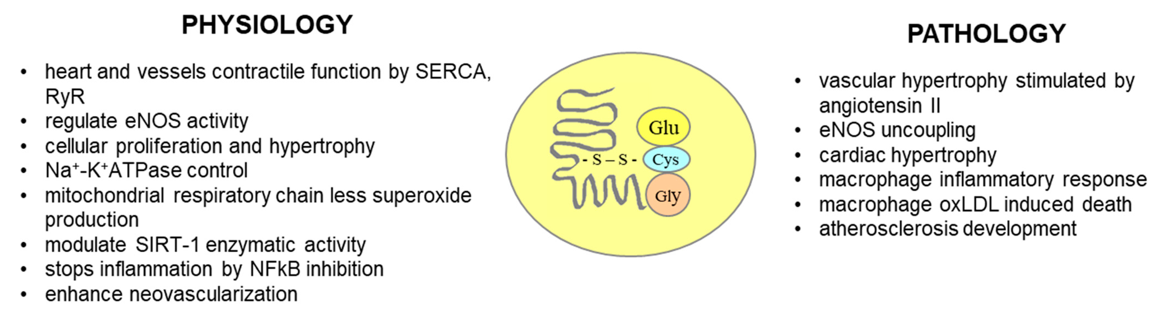 Antioxidants 14 00275 g009 Antioxidants 14 00275 g009