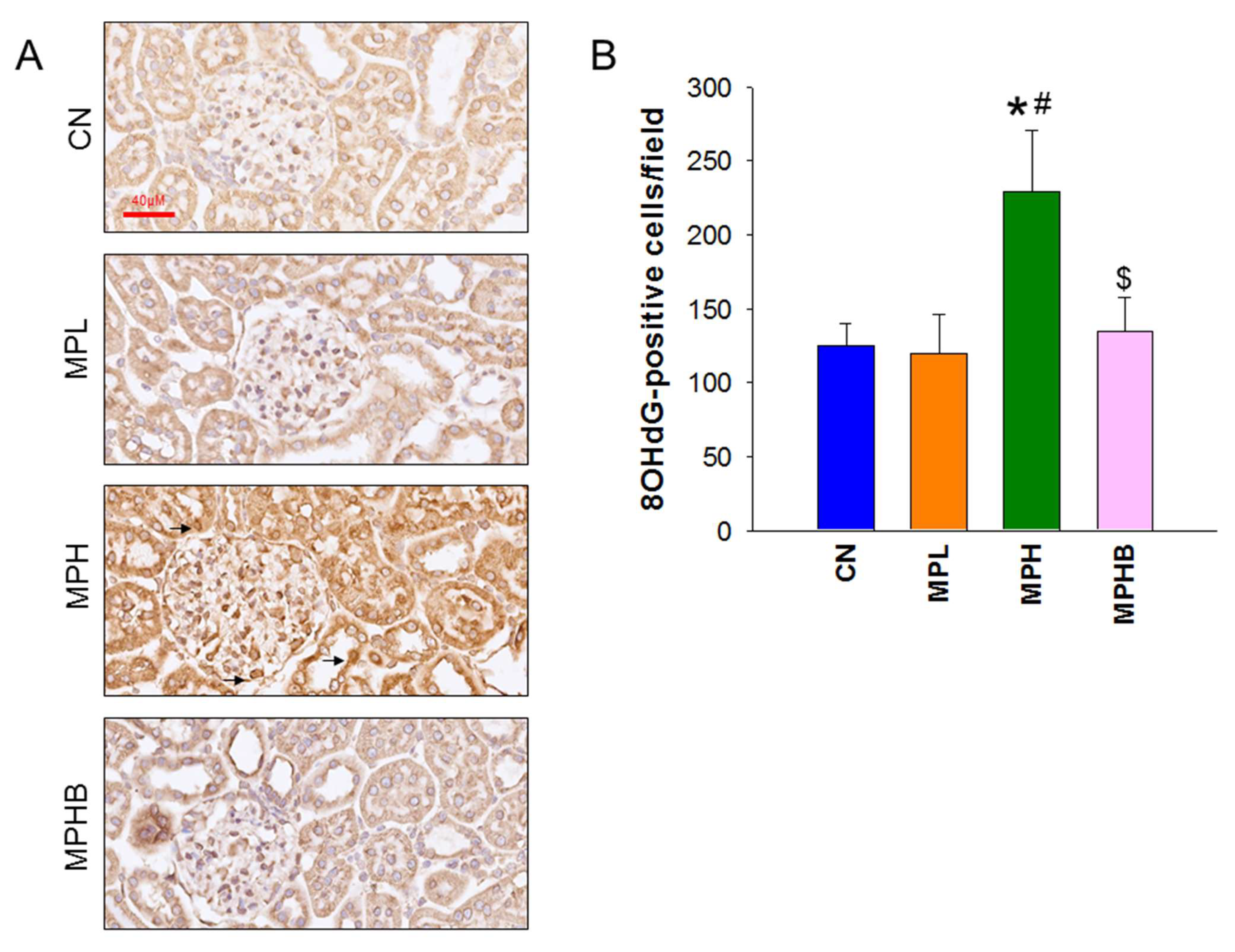 Antioxidants 14 00276 g002