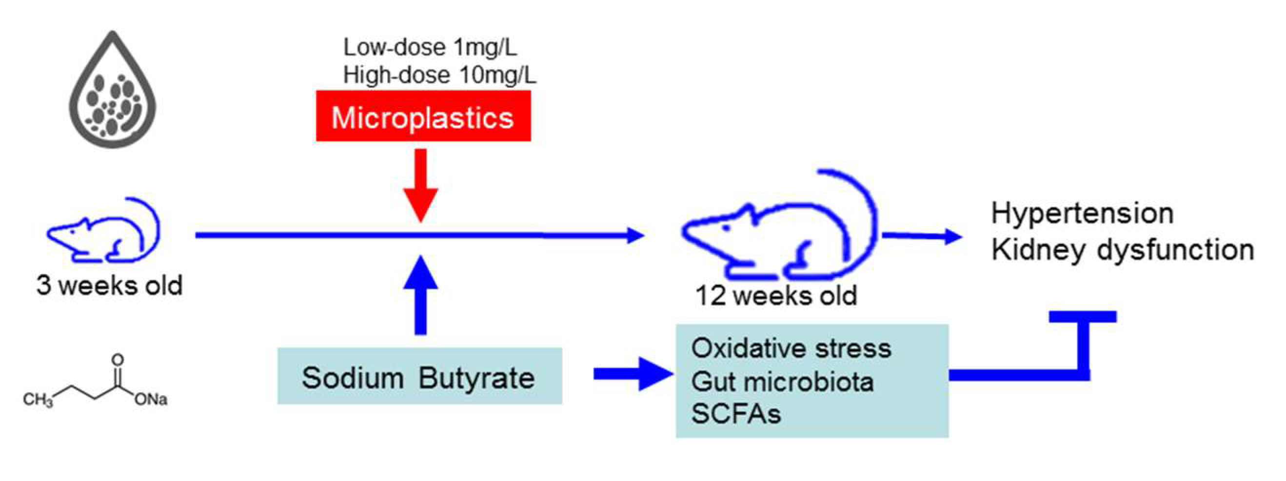 Antioxidants 14 00276 g009