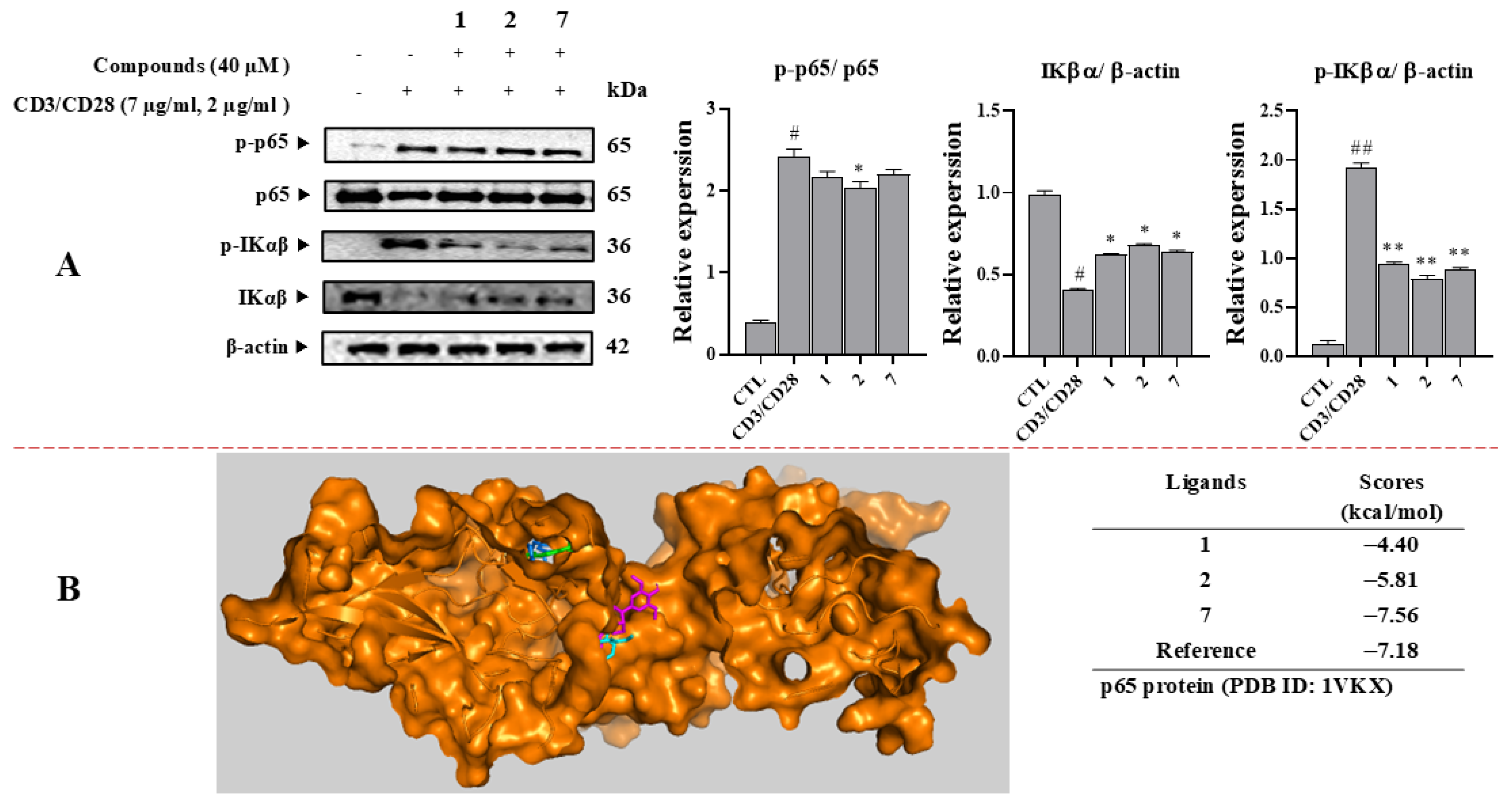 Antioxidants 14 00281 g006