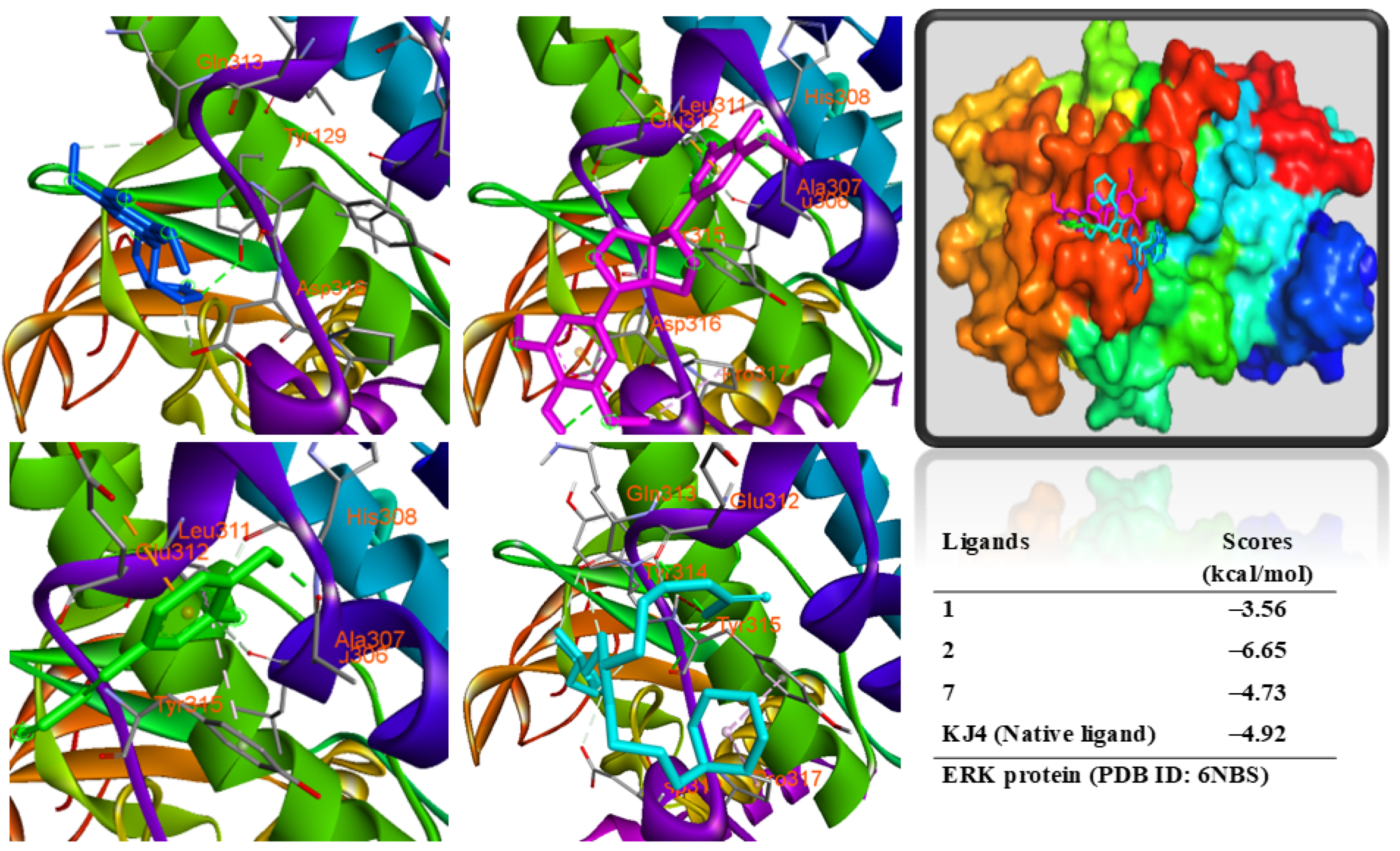Antioxidants 14 00281 g007