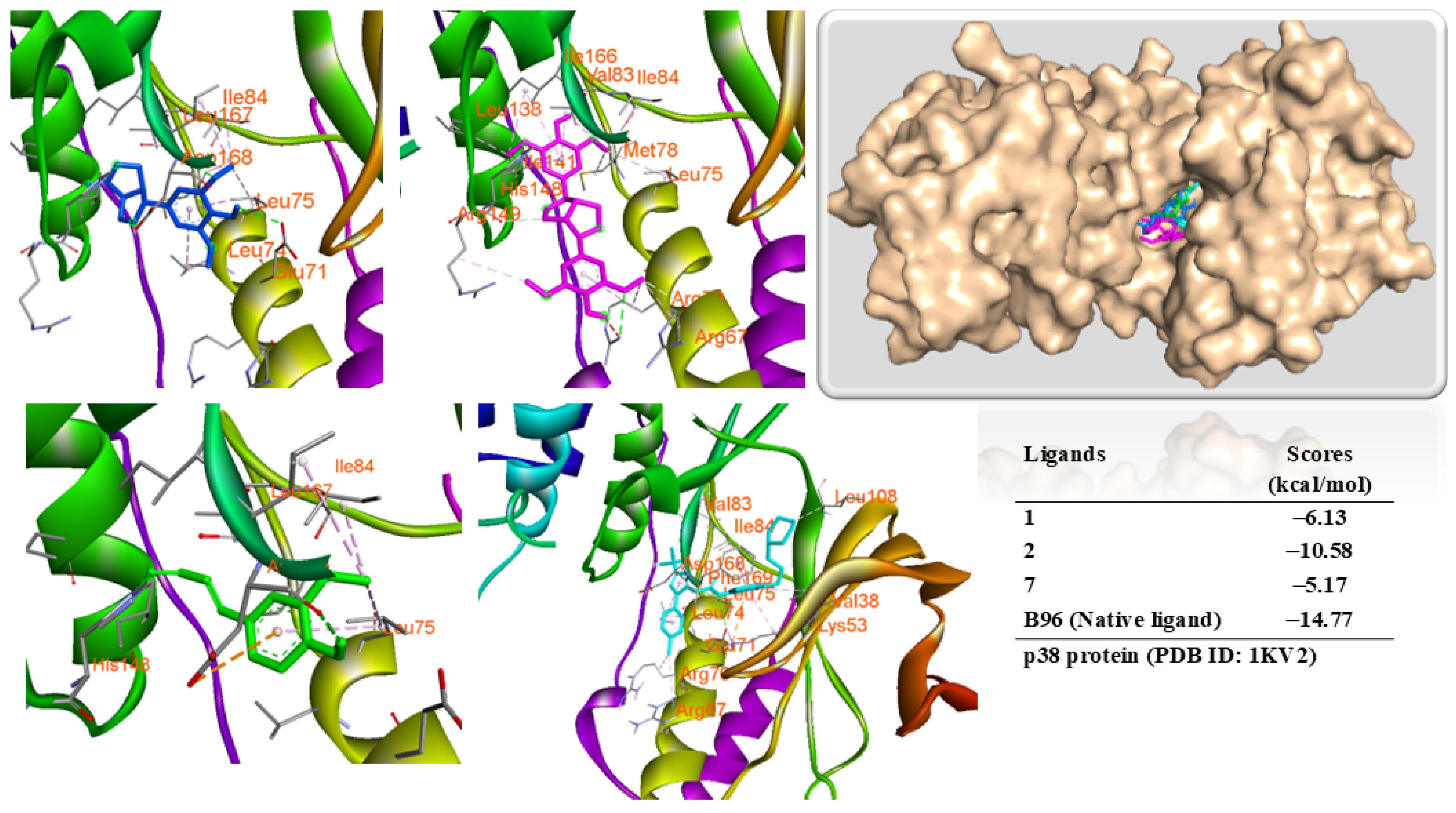 Antioxidants 14 00281 g009