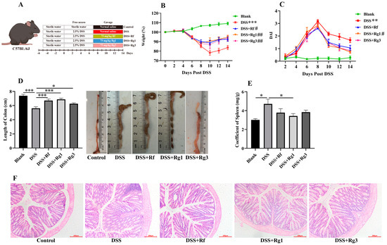 最終決算 Evaluation of Ginsenosides Six of Effects Anti-Inflammatory バッグ