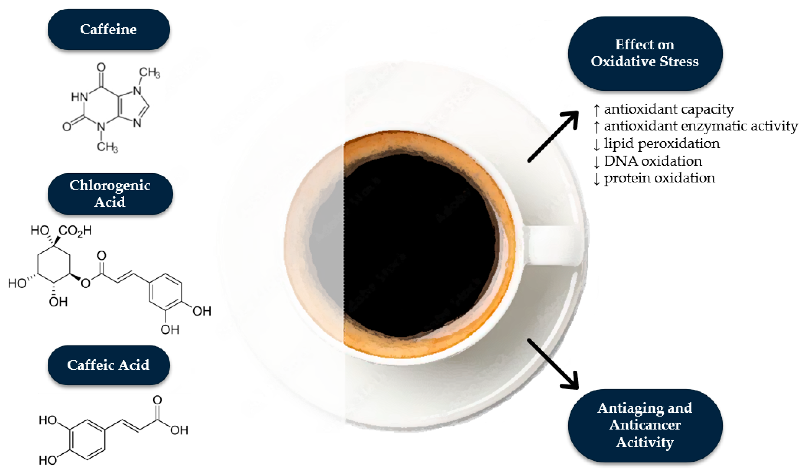 Antioxidants 14 00285 g001