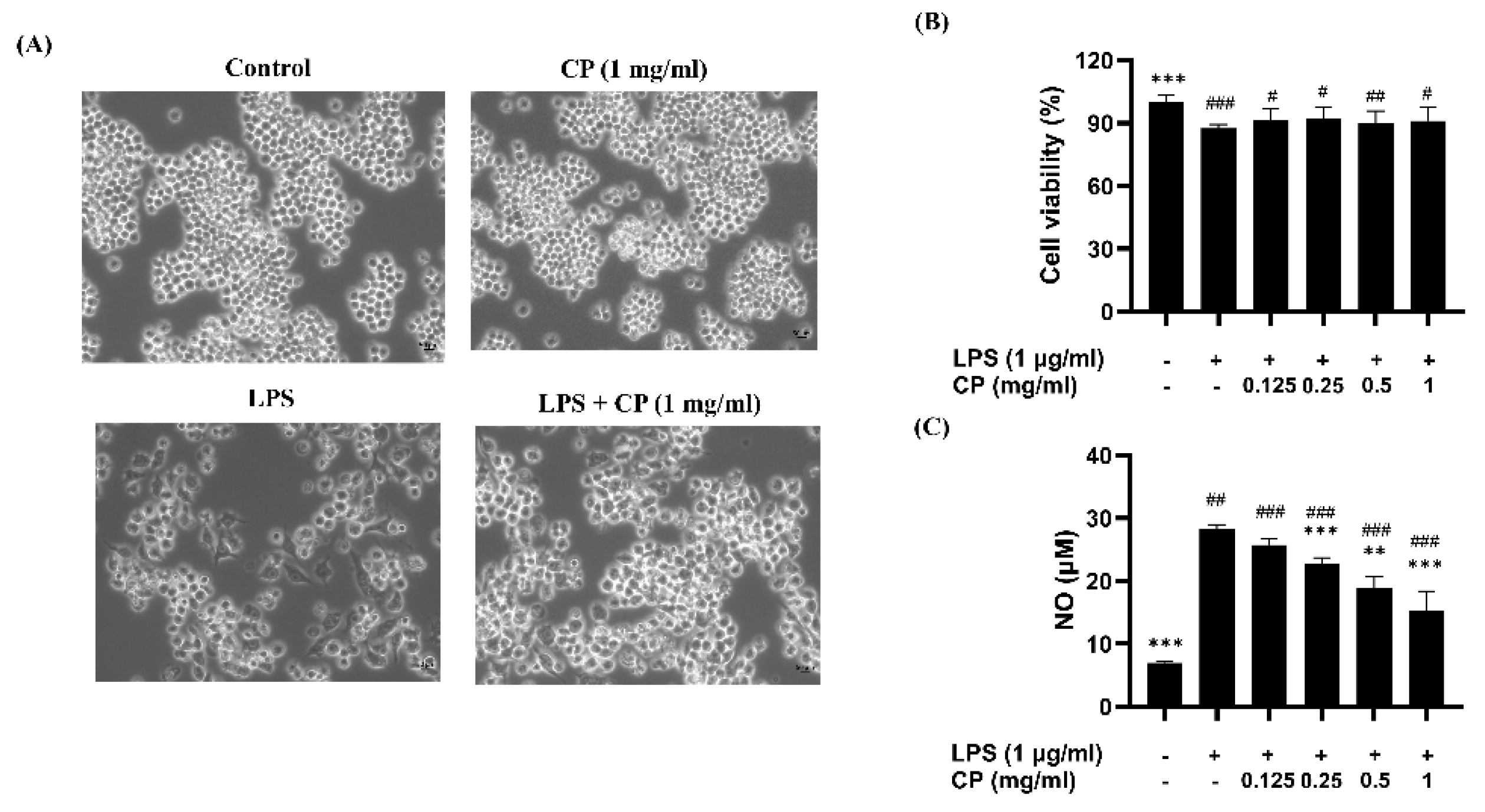 Antioxidants 14 00286 g003