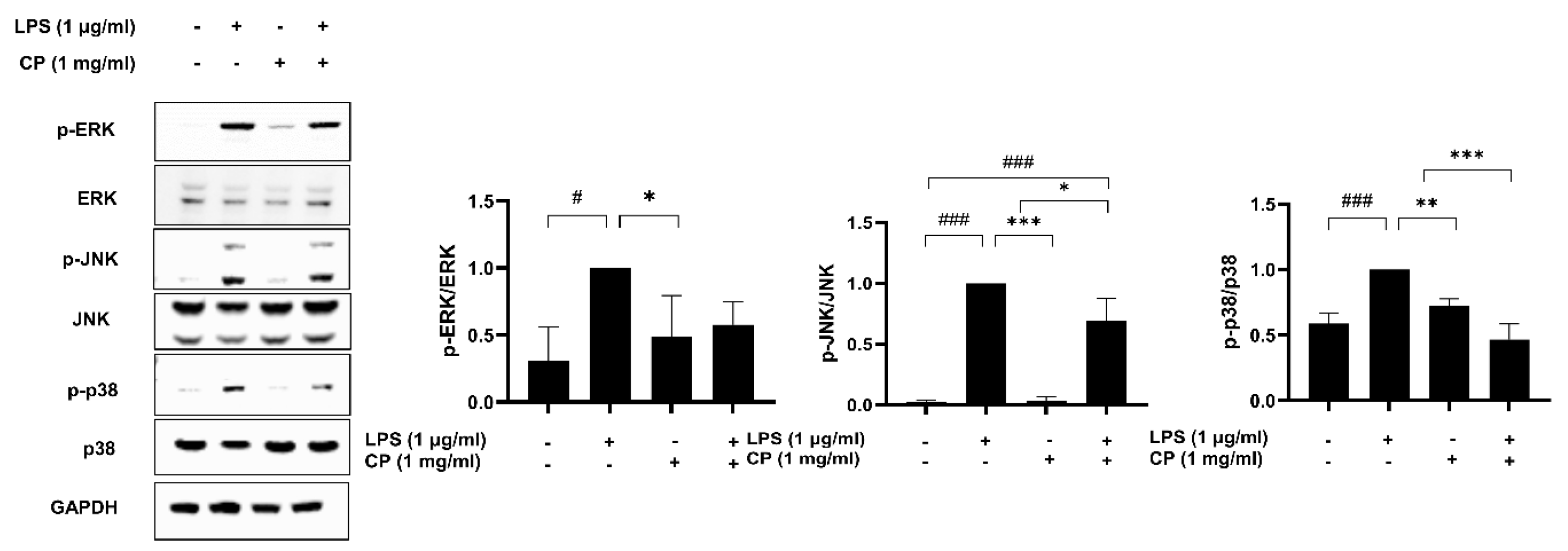 Antioxidants 14 00286 g007
