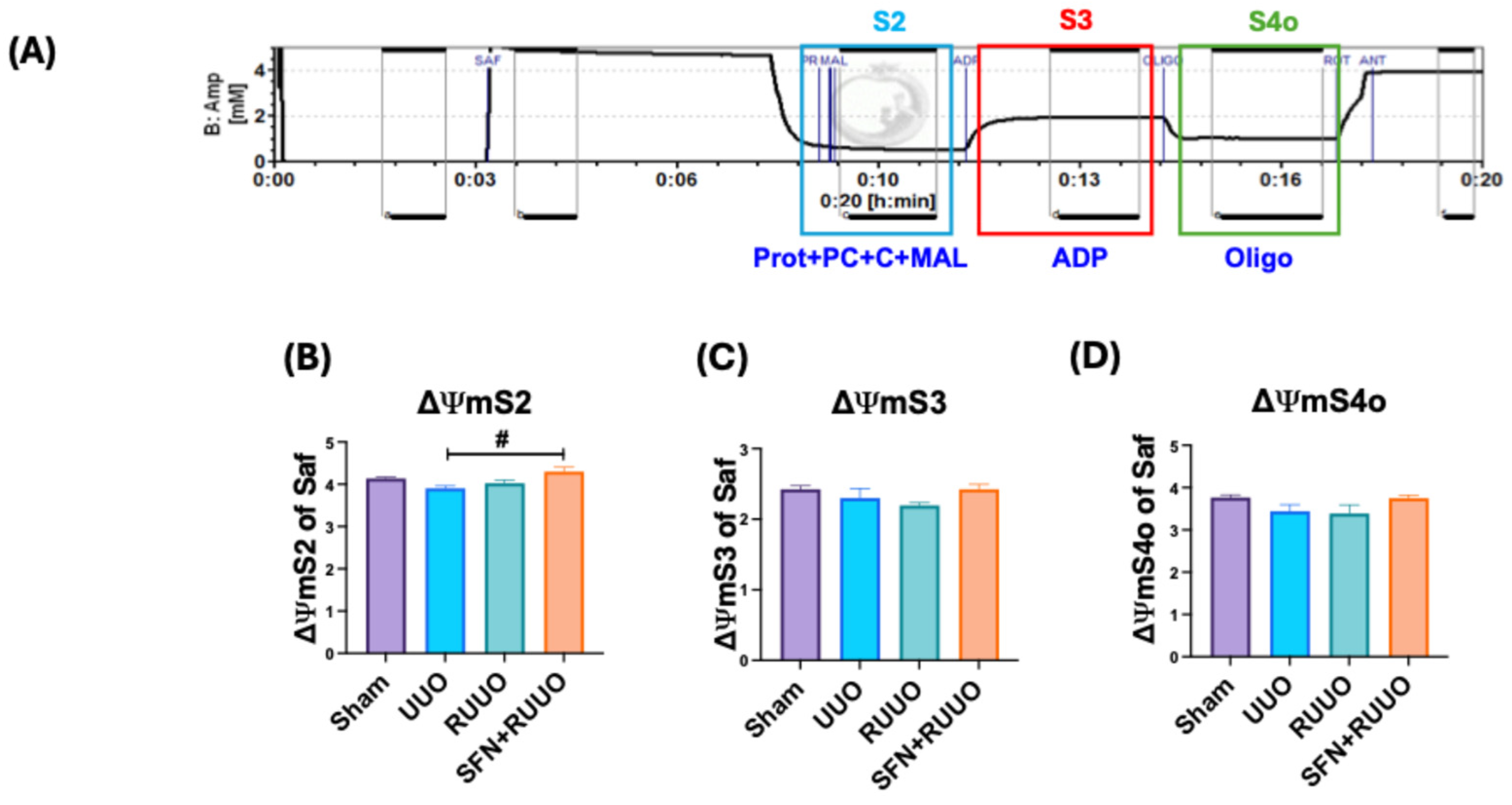 Antioxidants 14 00288 g006