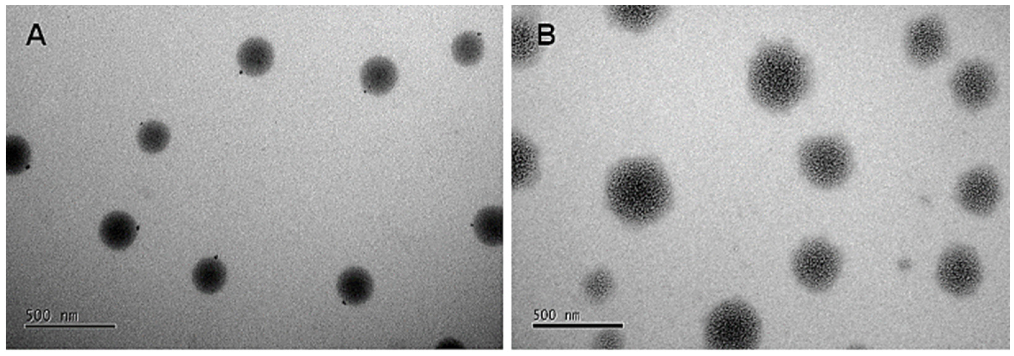 Antioxidants 14 00290 g003
