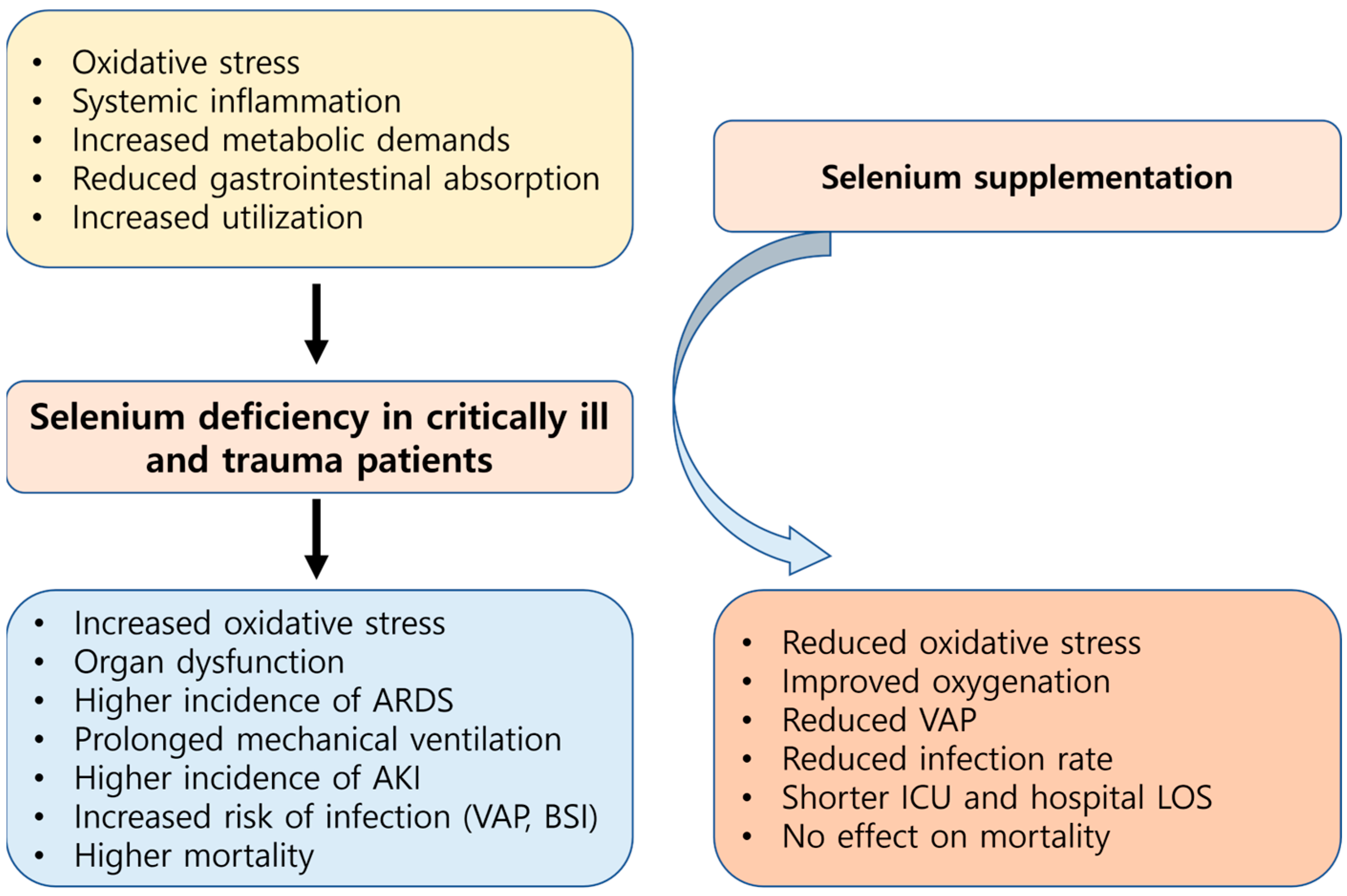 Antioxidants 14 00294 g003 Antioxidants 14 00294 g003