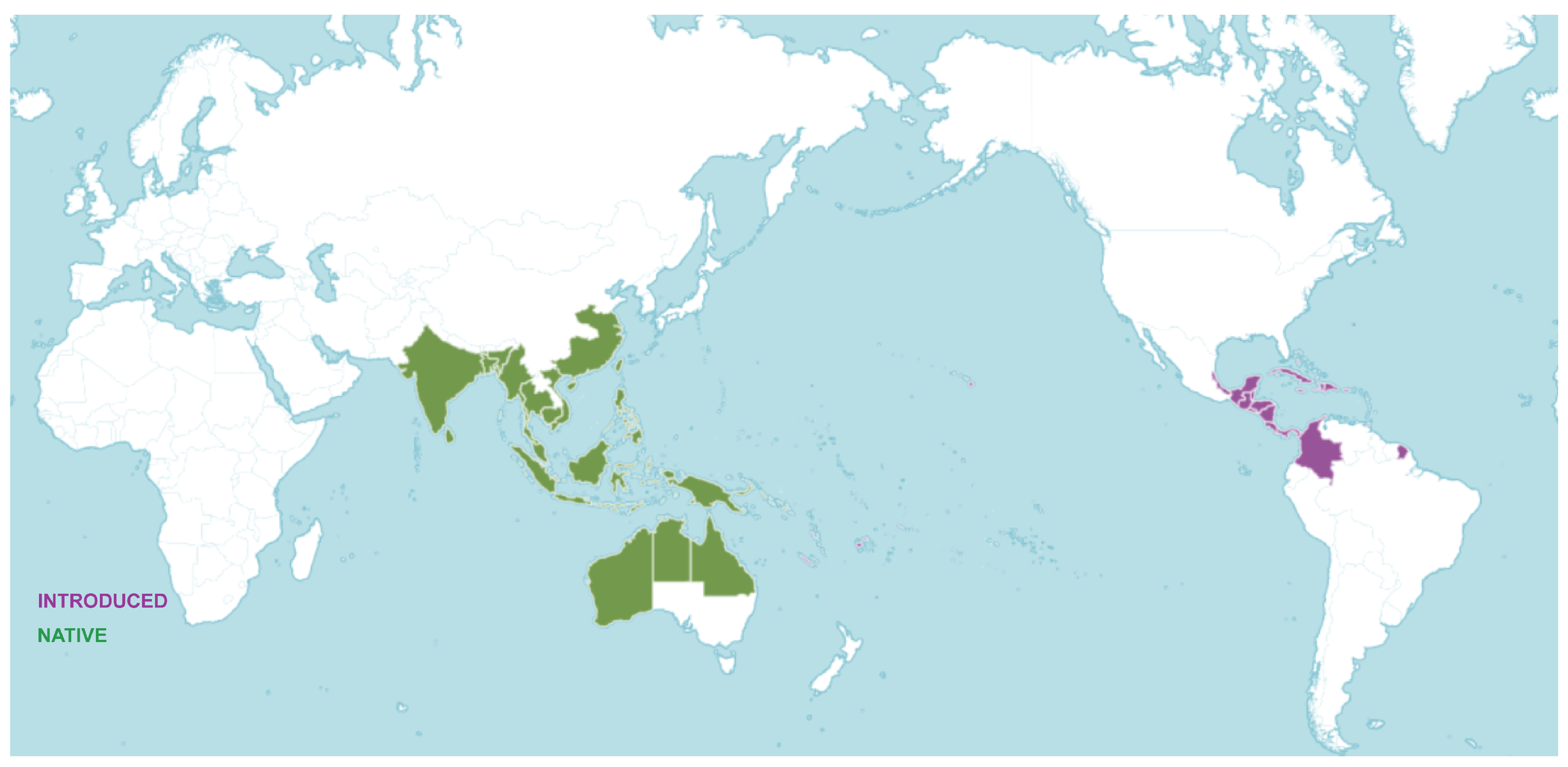 Antioxidants 14 00295 g002 Antioxidants 14 00295 g002
