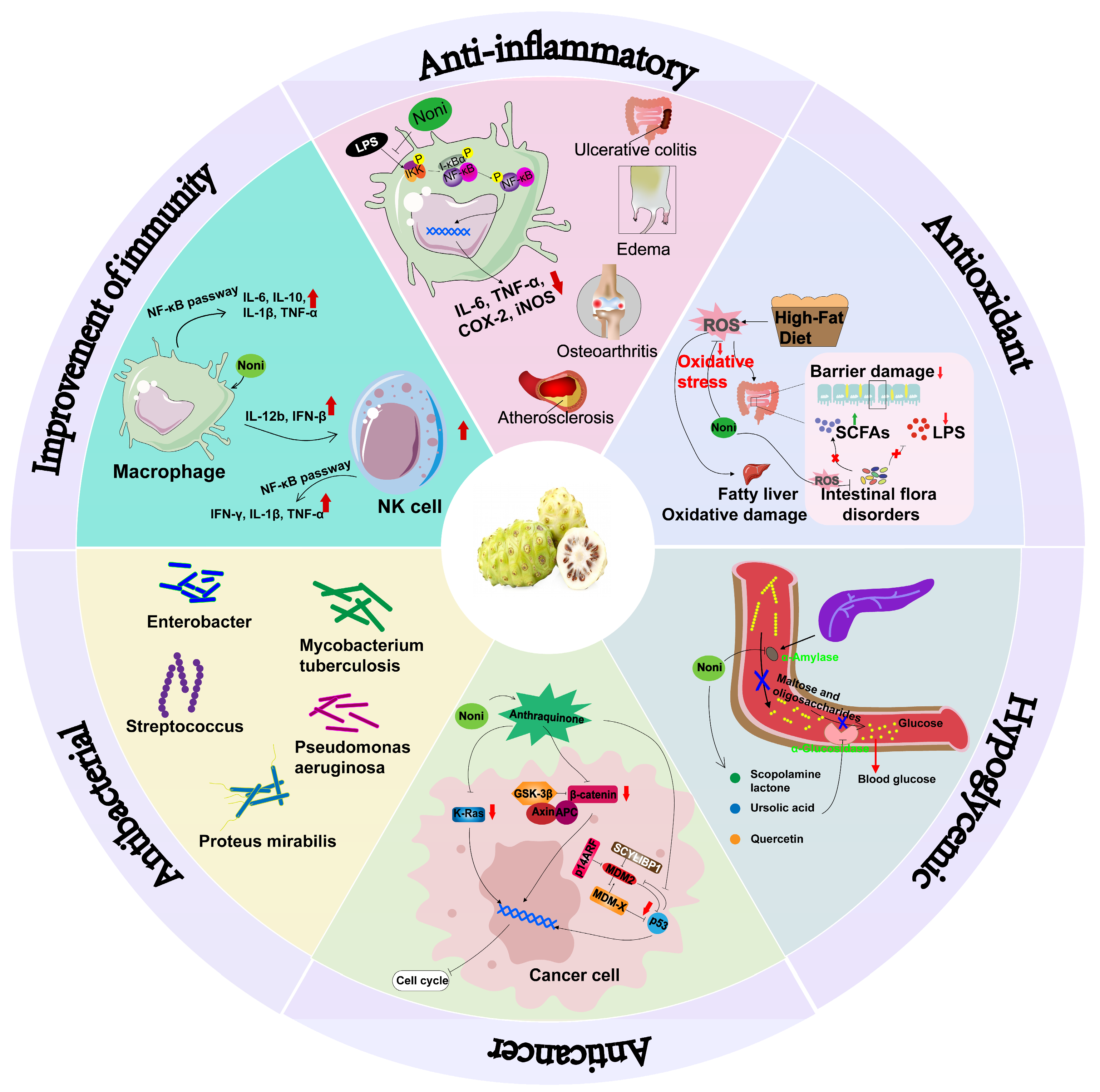 Antioxidants 14 00295 g009 Antioxidants 14 00295 g009