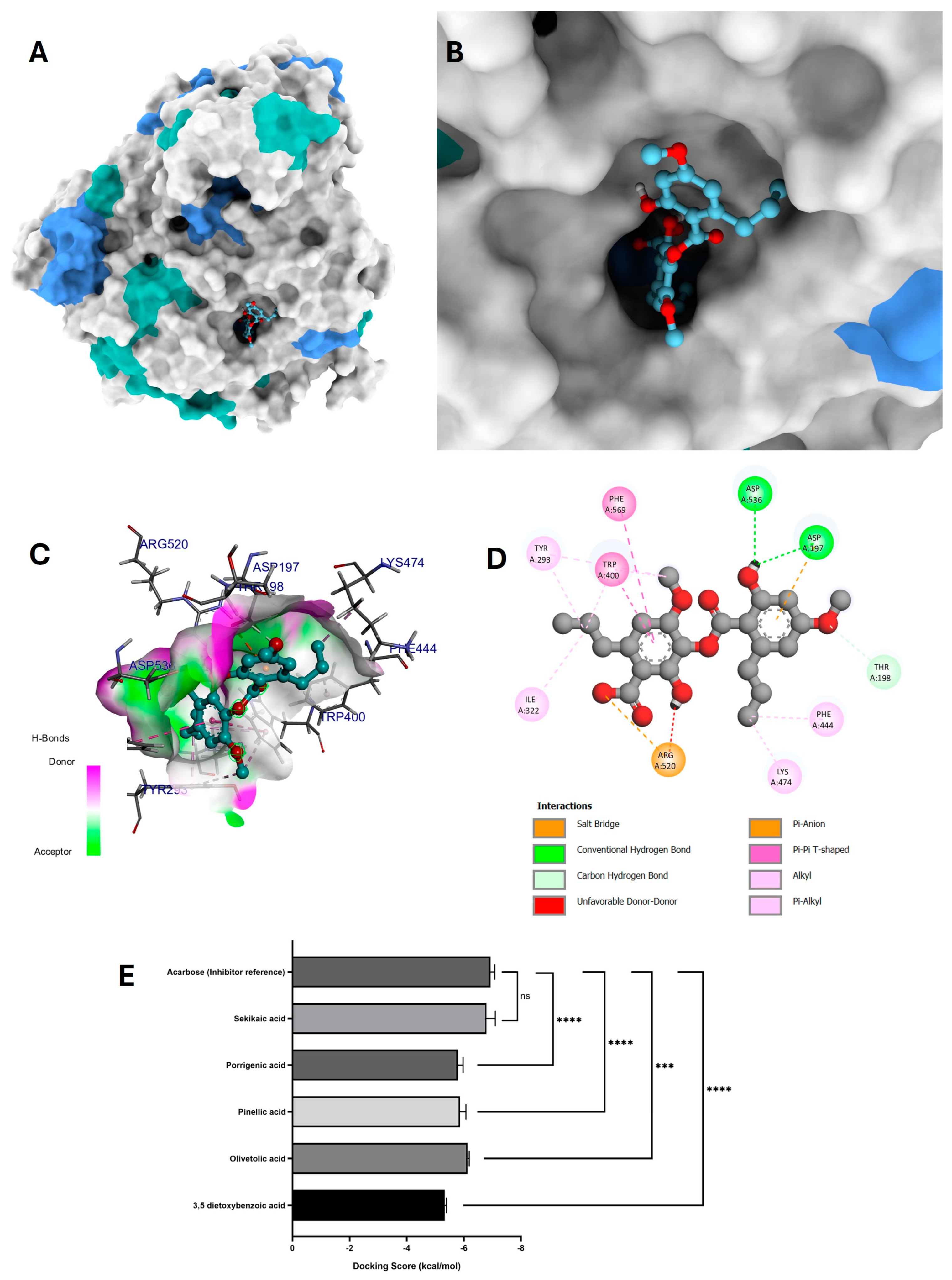 Antioxidants 14 00298 g007