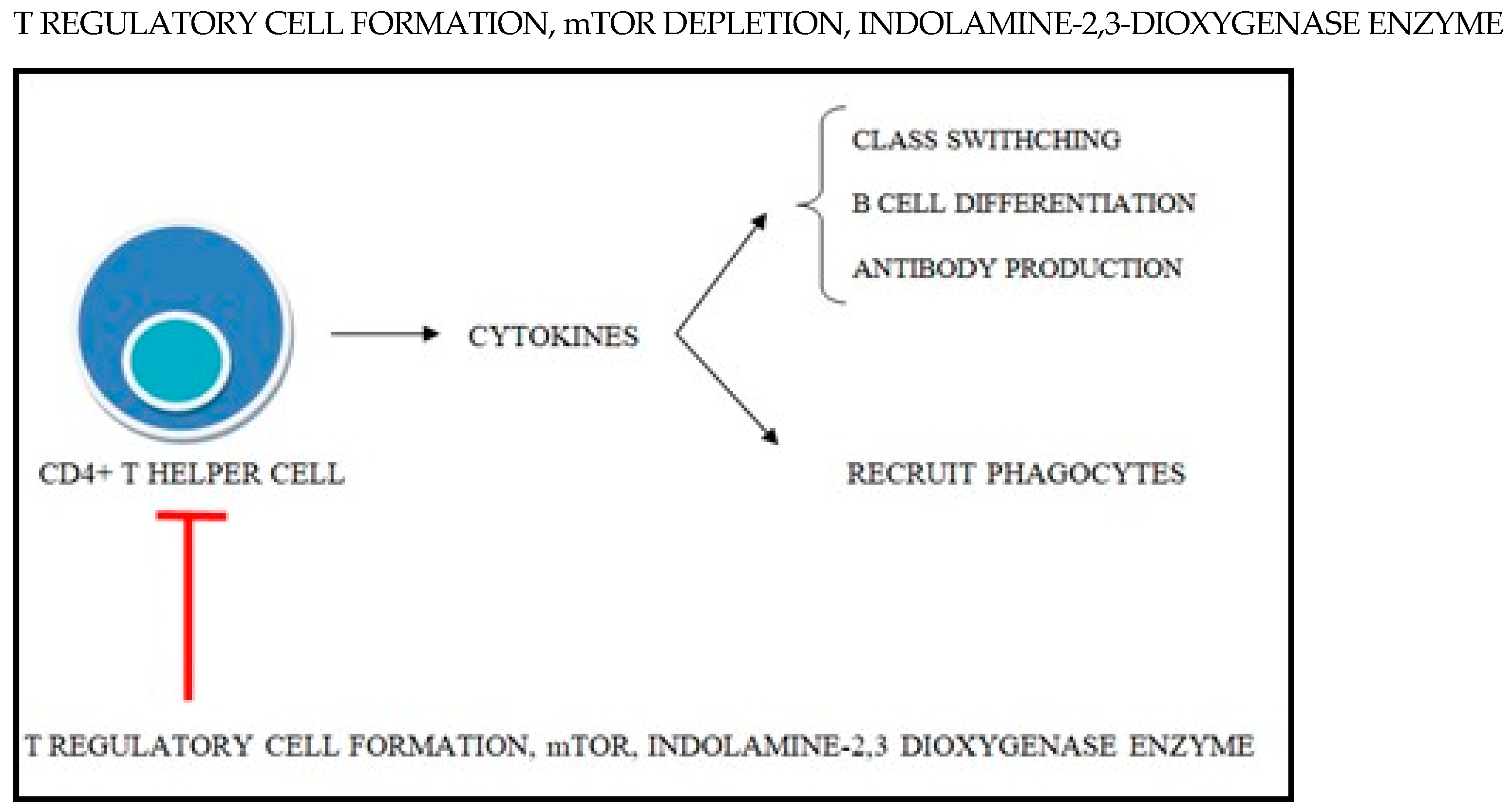 Antioxidants 14 00303 g002 Antioxidants 14 00303 g002