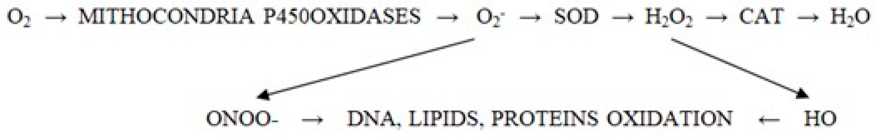 Overview of Oxidative Stress in Systemic Lupus Erythematosus
